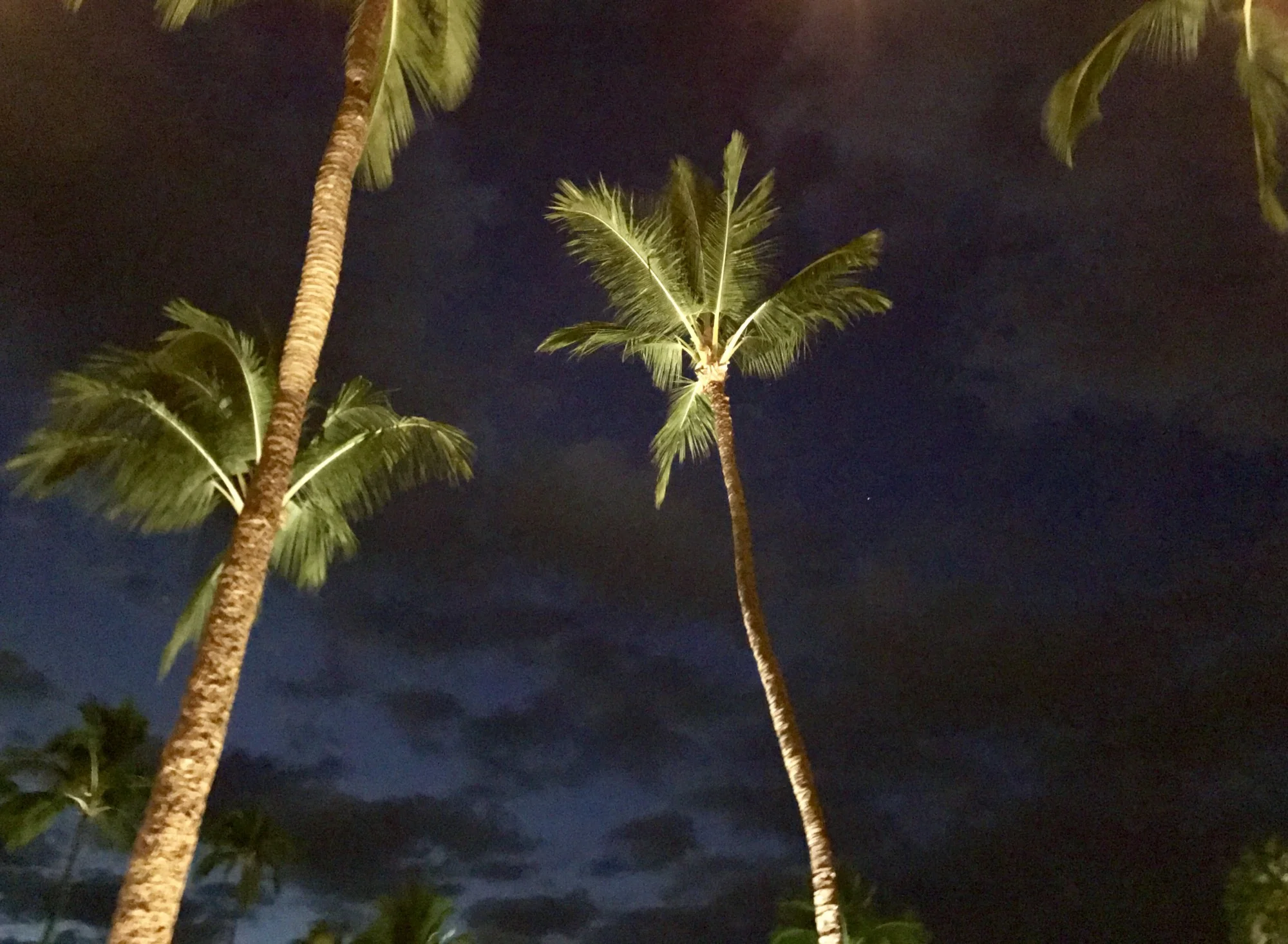 When Life Welcomes Us Home