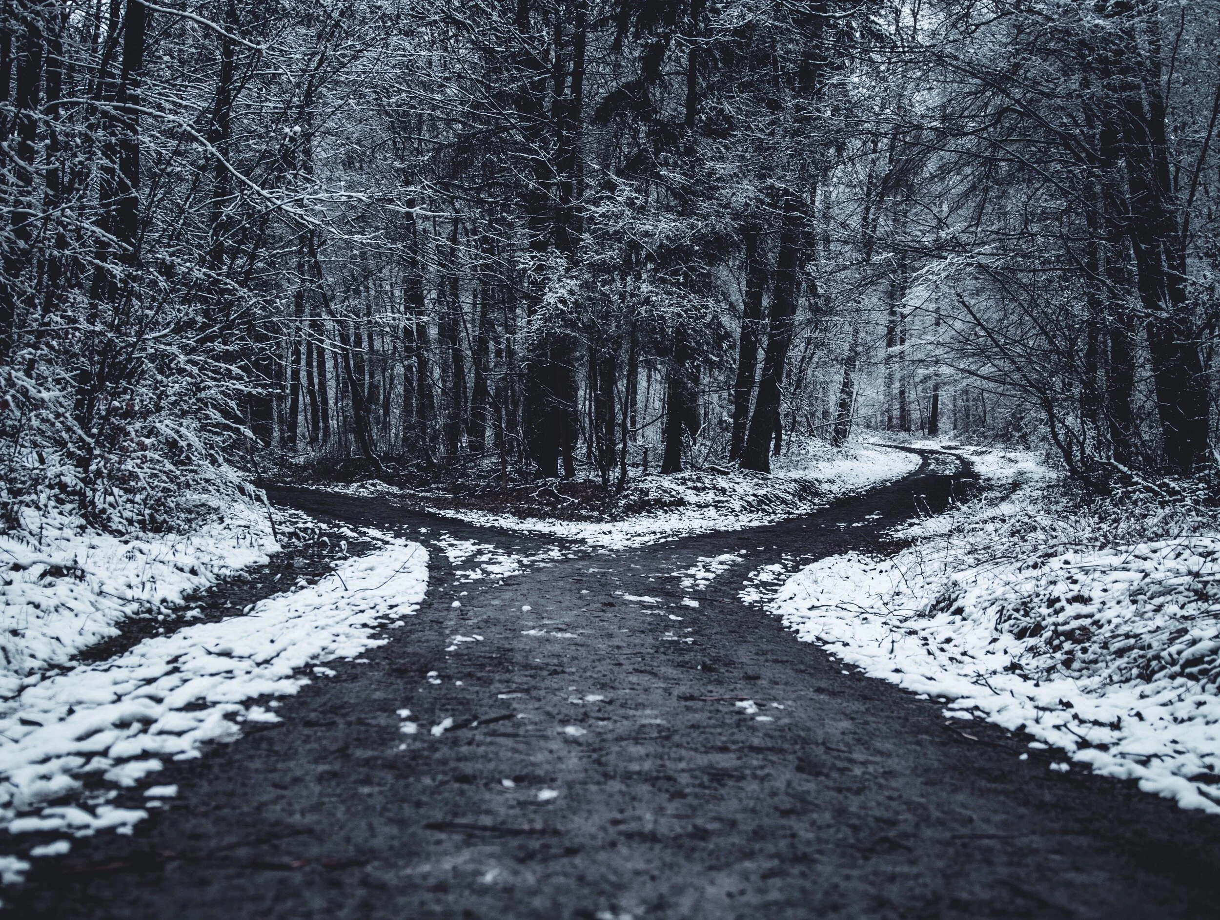 We Are Always Standing At The Fork In The Road