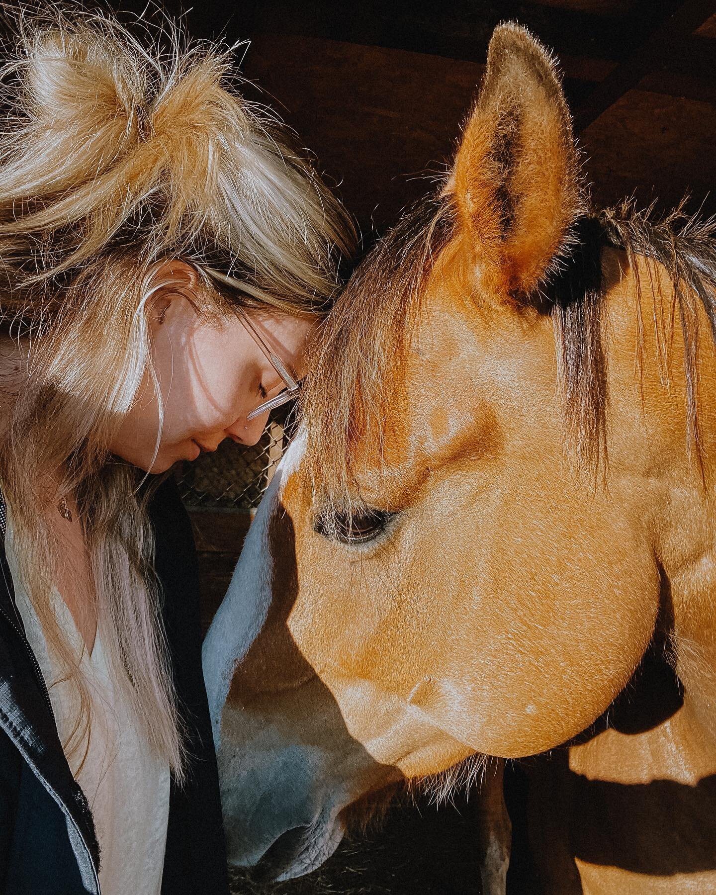 &bull; That one time I accidentally bonded with one of the boarding horses. Growing up around horses &amp; not really liking them much I never understood why horse people would be so attached to them, until I met this guy. Kermit. 🤍 I still think ab