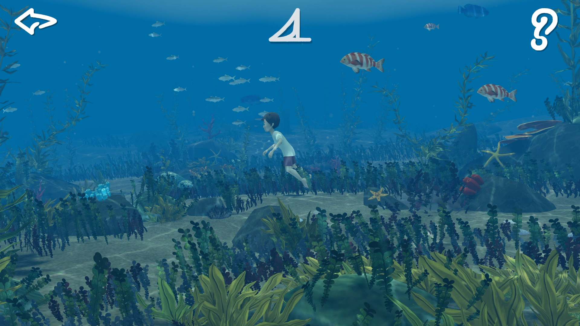As Storm Boy, explore a vibrant ocean.