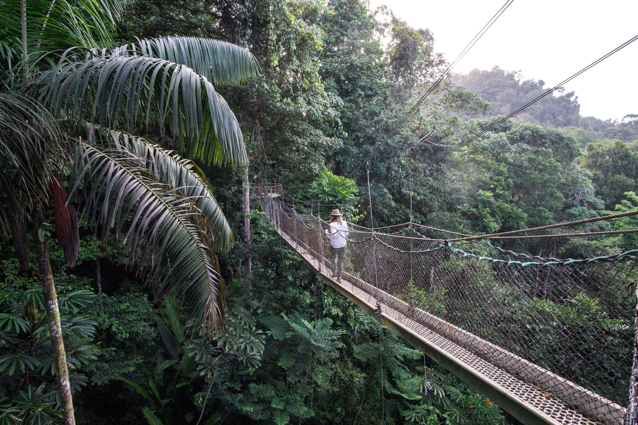 Guyana Field Notes: "I'm not in Montana Anymore"