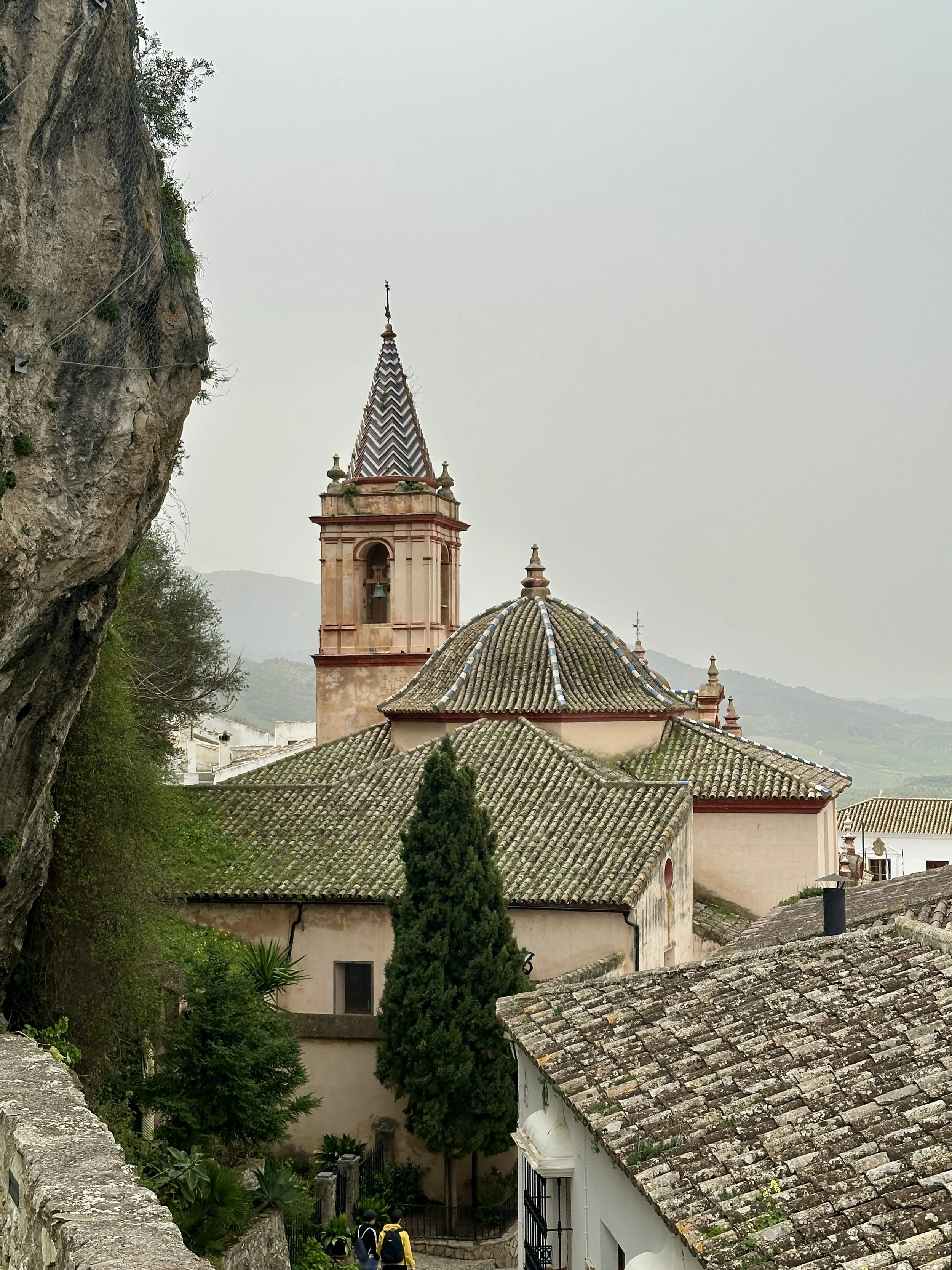 IMG_8772.jpg