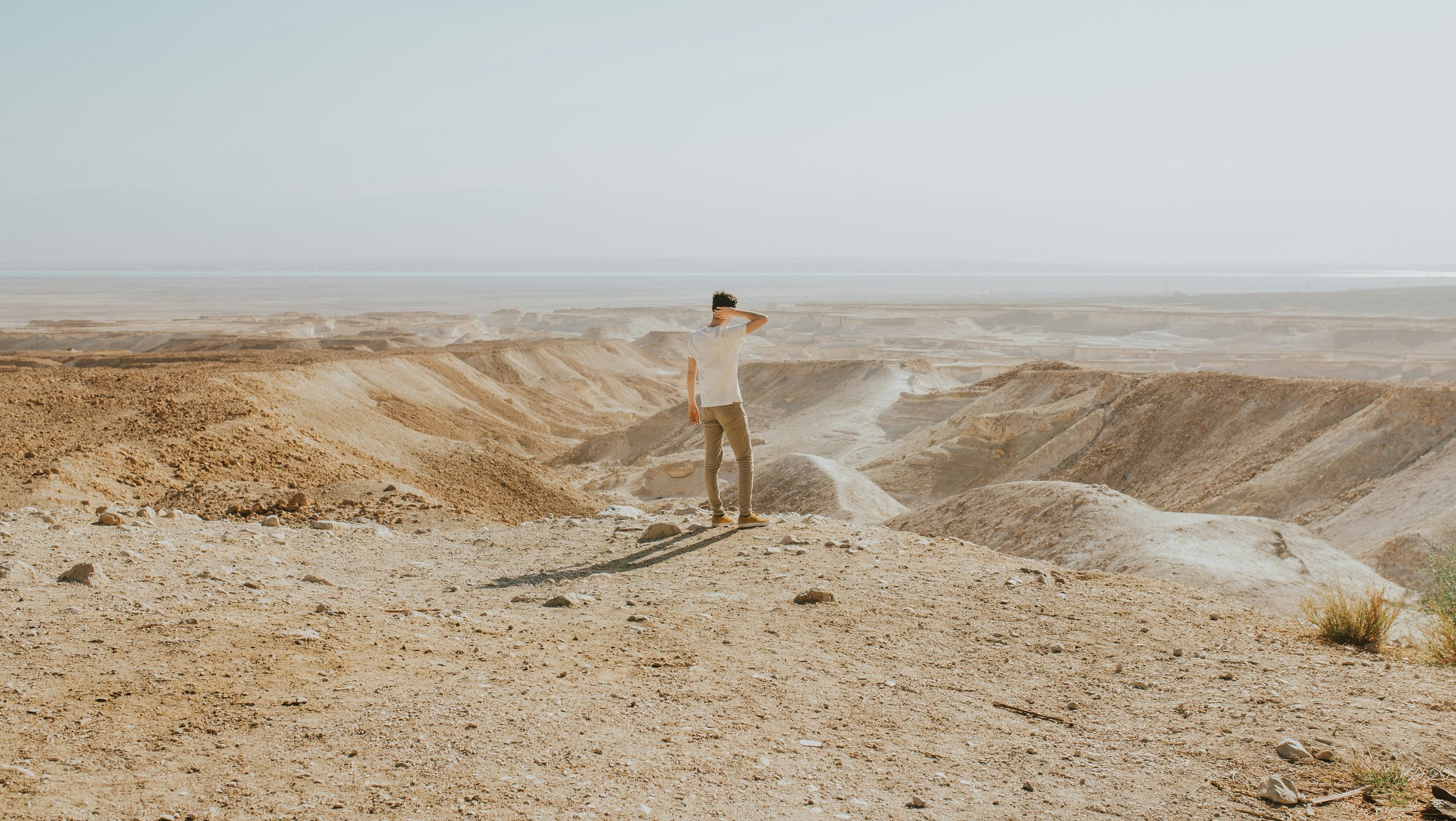 cole-keister-b0d5Wjl6-9c-unsplash.jpg