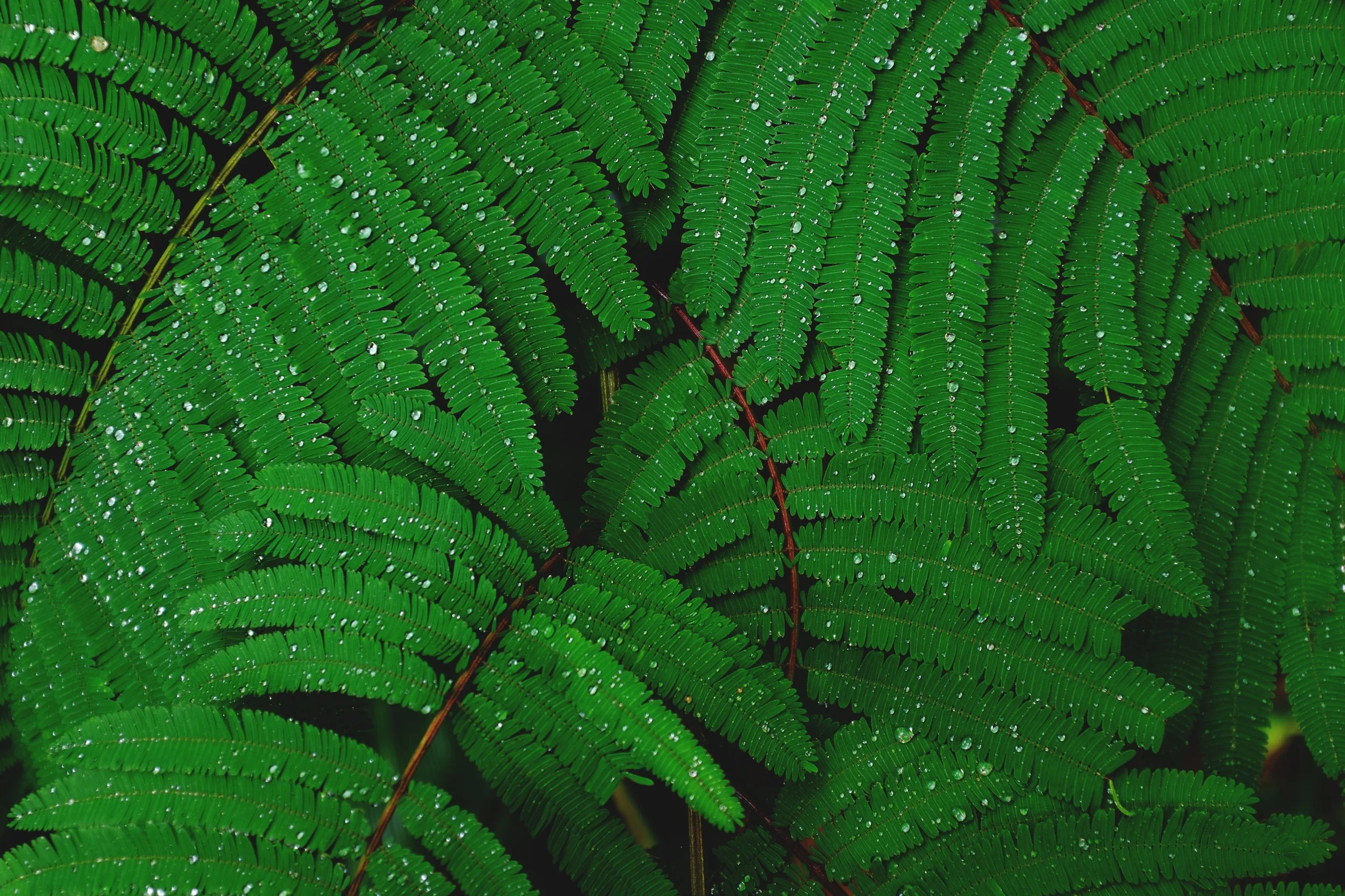 luca-bravo-189272-unsplash.jpg