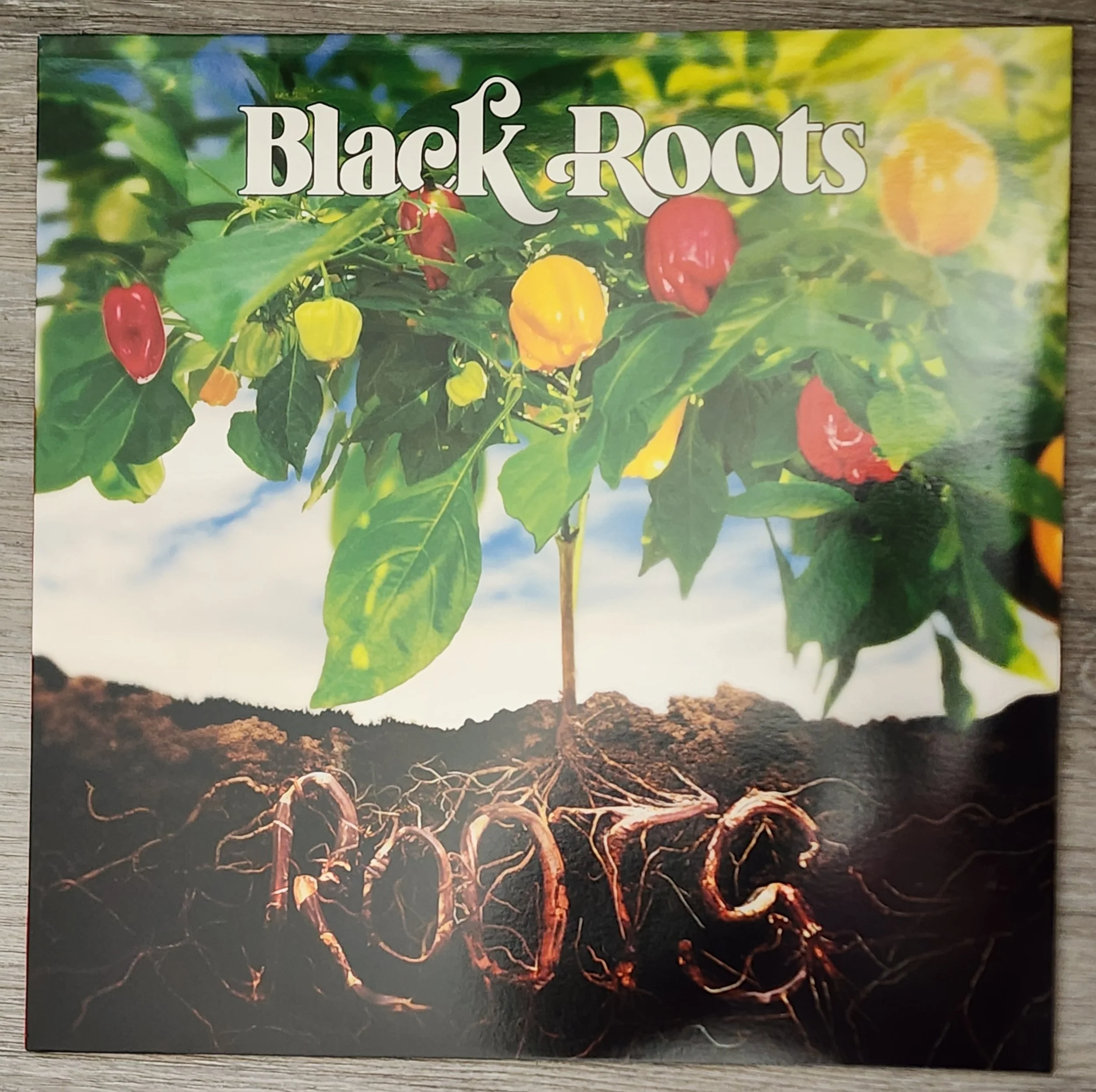 RCKNUBIANLP-001 - Black Roots - Roots: The Vinyl Selection  - LP
