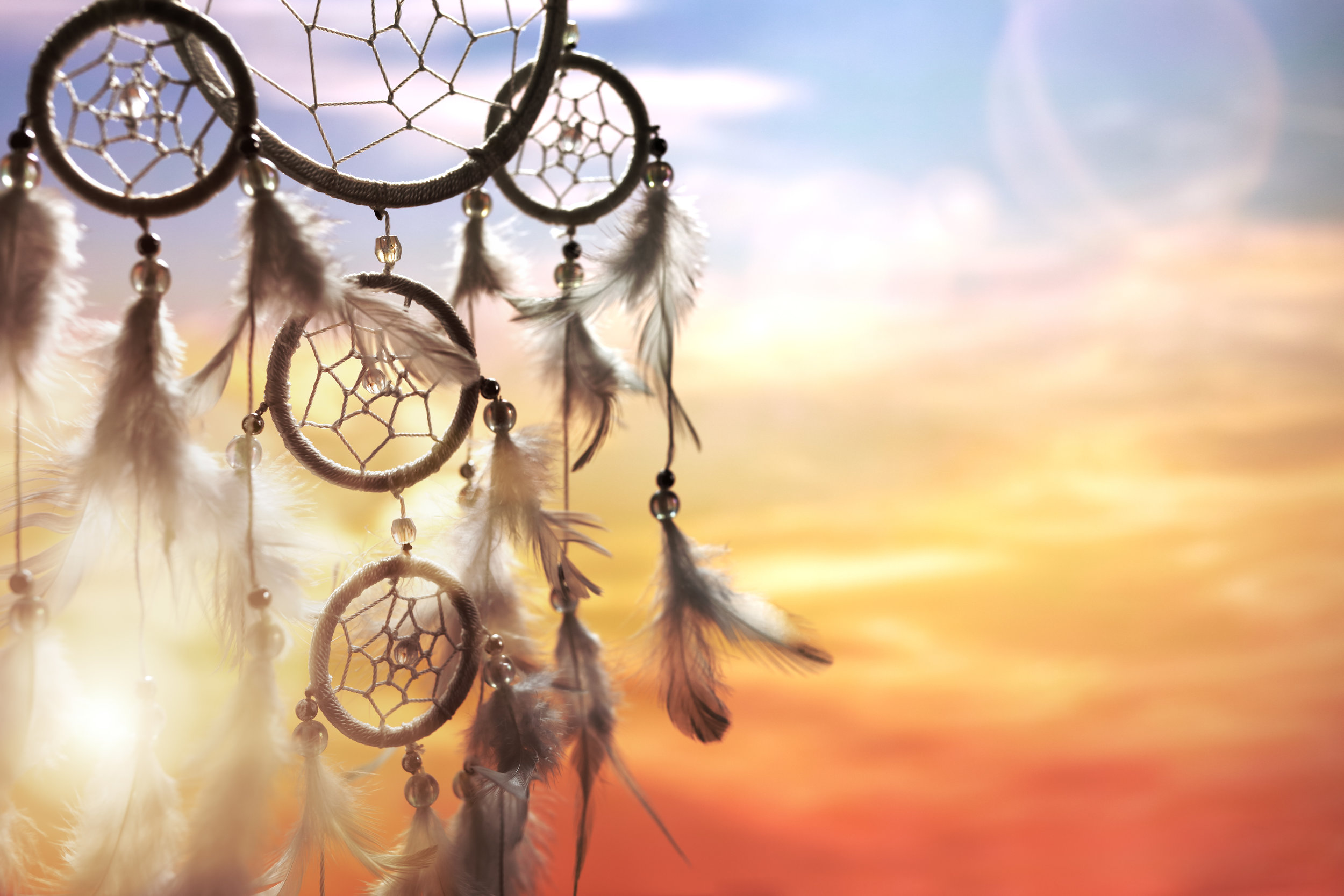 AdobeStock_142515614 (1).jpeg