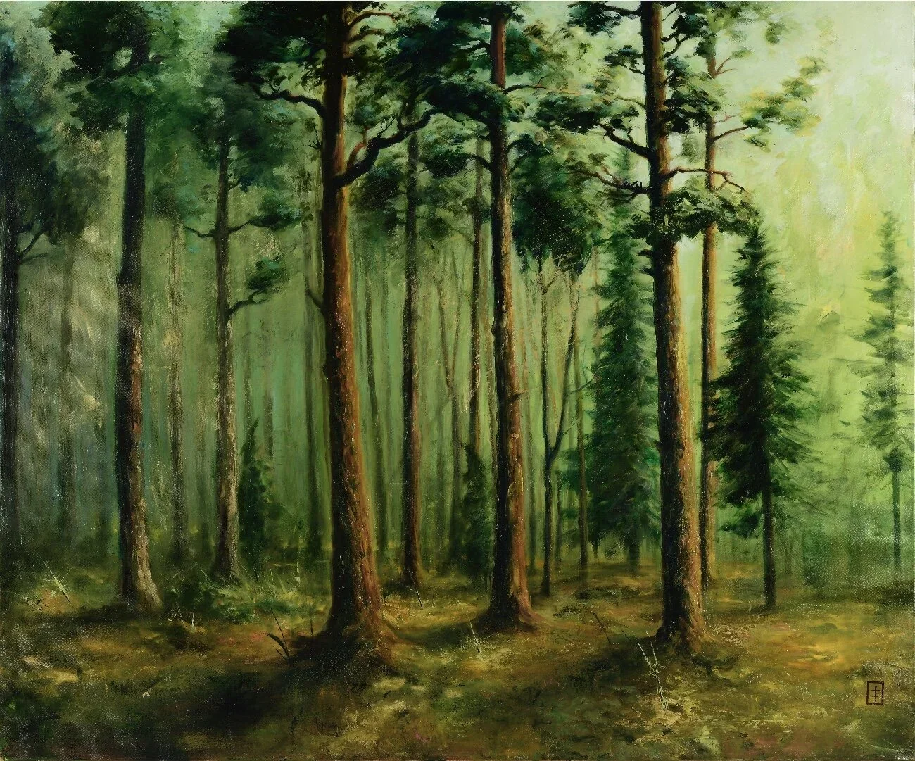 FOREST AND LIGHT