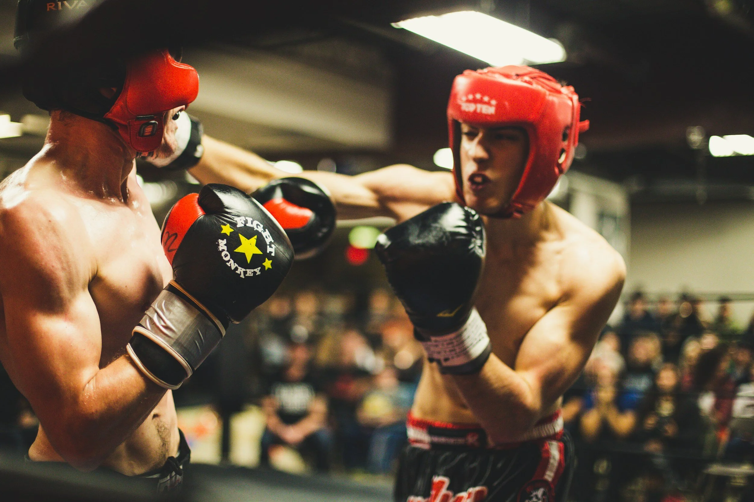 The Fetishisation of Male Aggression in Young Adult Media