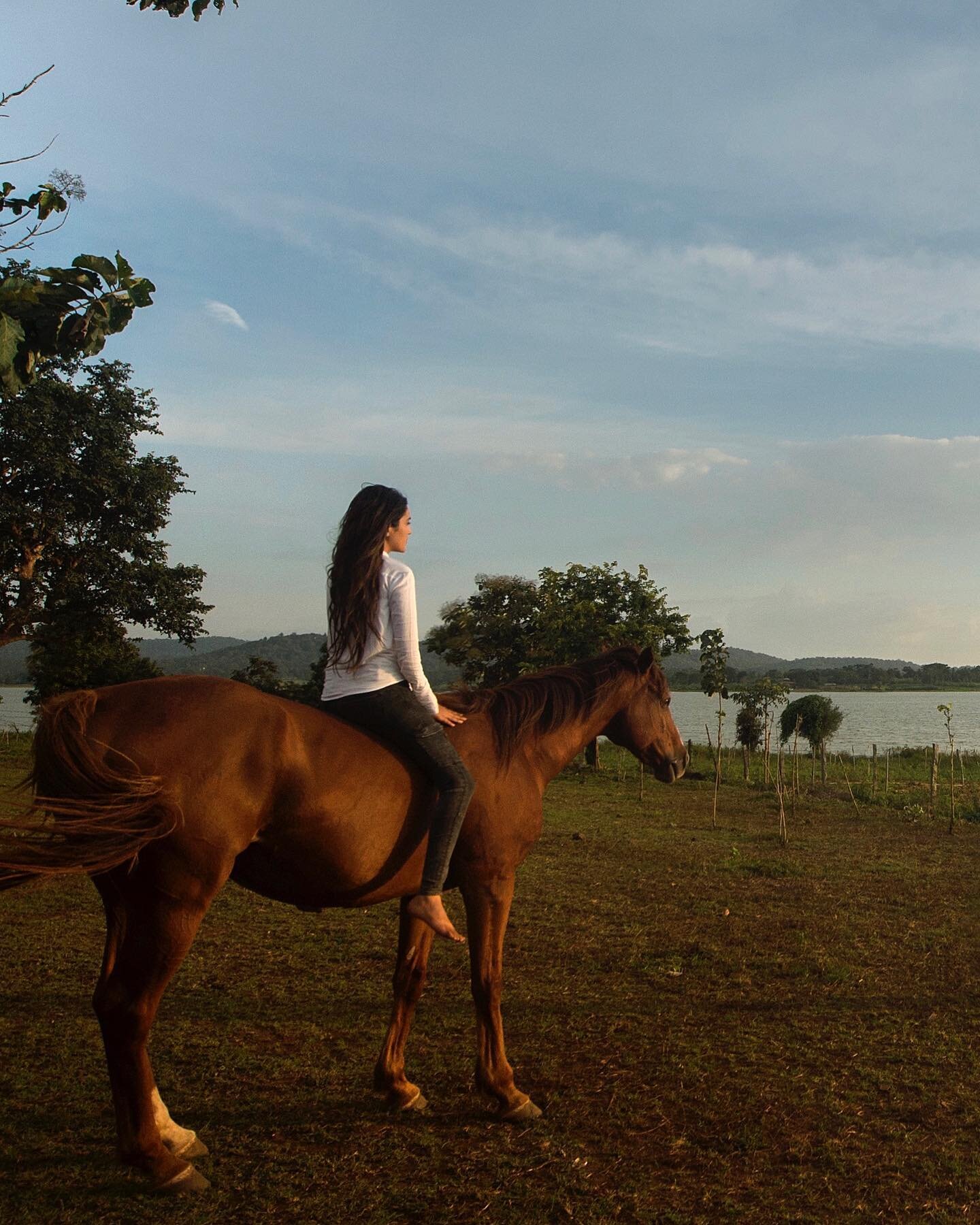 Standing tall with our heads full of dreams ❤️ So, my lovely horsey fam, I have a few things in the works that I&rsquo;m excited to share with you all (soon). I suppose good things do come from the restlessness and anxiety of being back in the city -