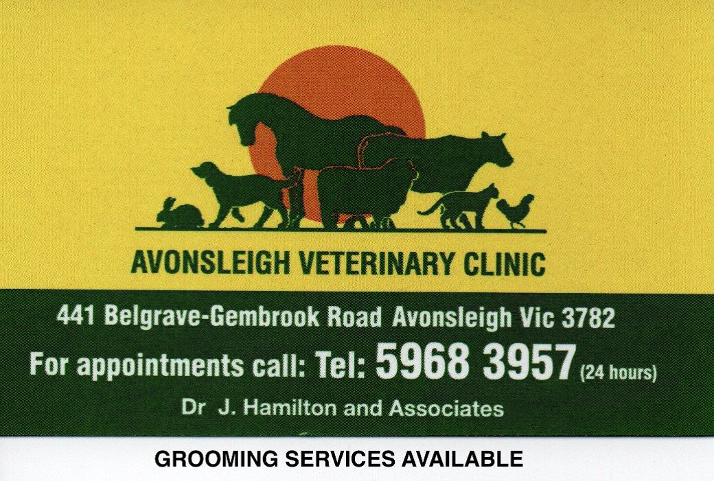 Avonsleigh vet.png