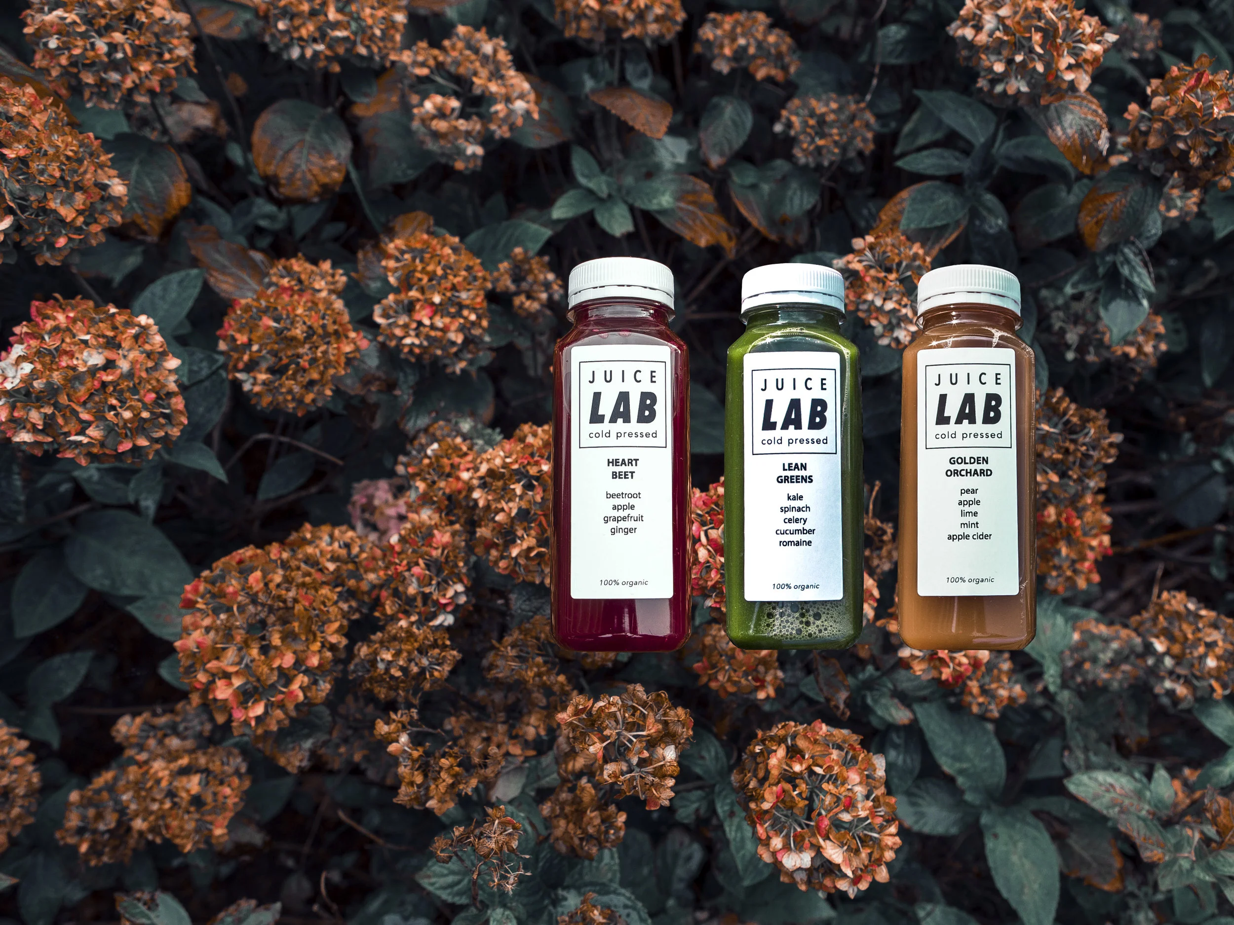 3 Juices Juice Lab new editorial image2 right side.jpg