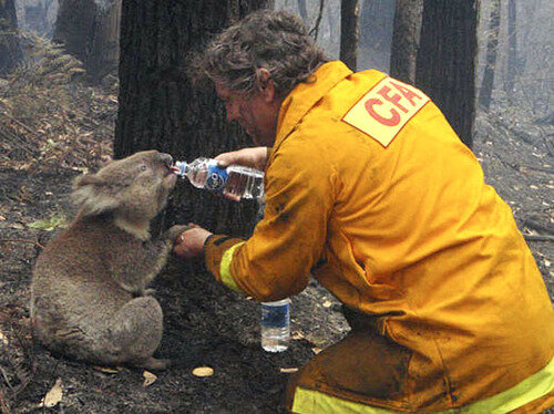 Compassion. All That's Needed to Change Our World