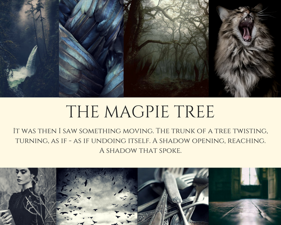 Review of The Magpie Tree by Katherine Stansfield