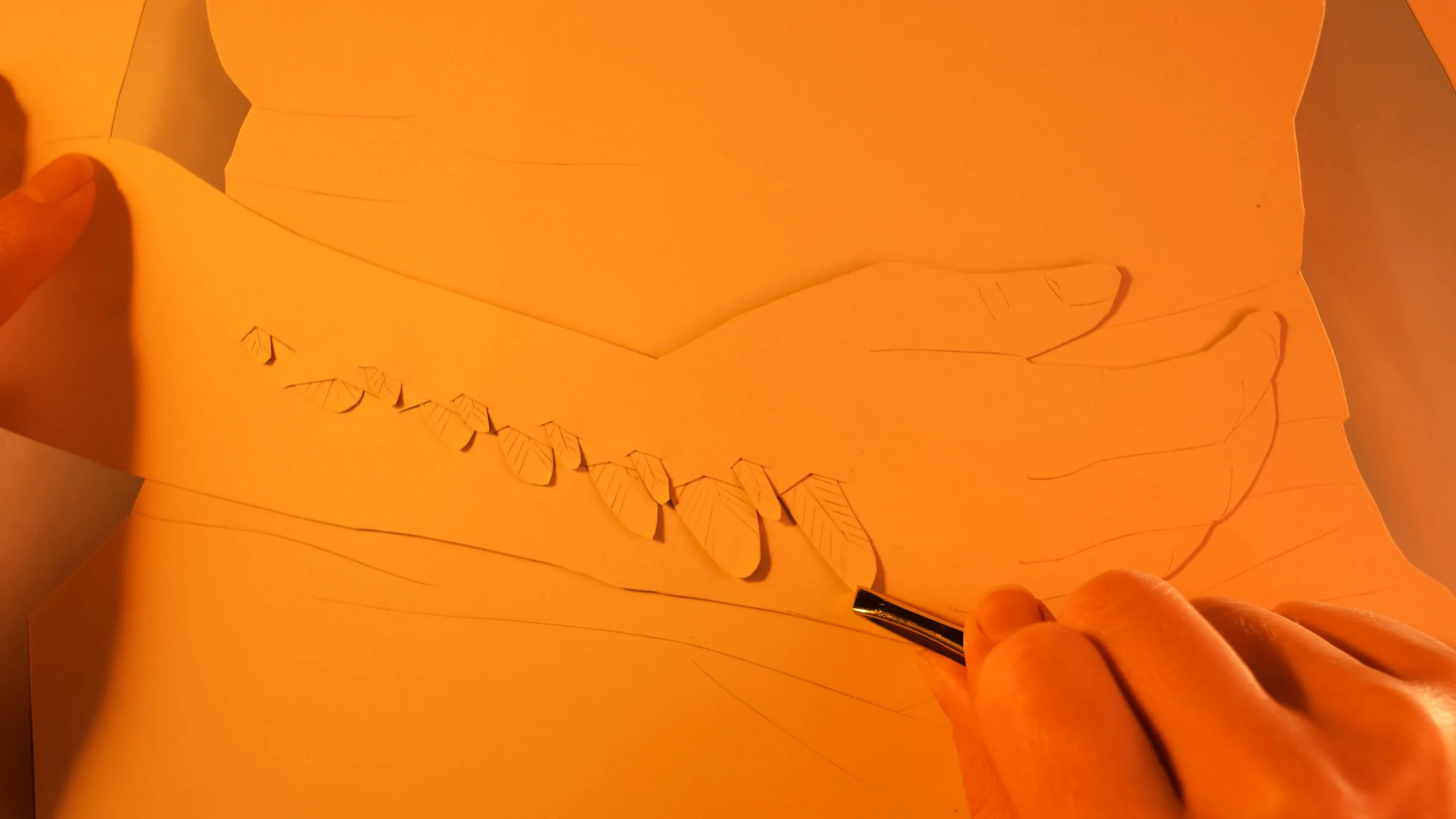 feathers_hand.jpg