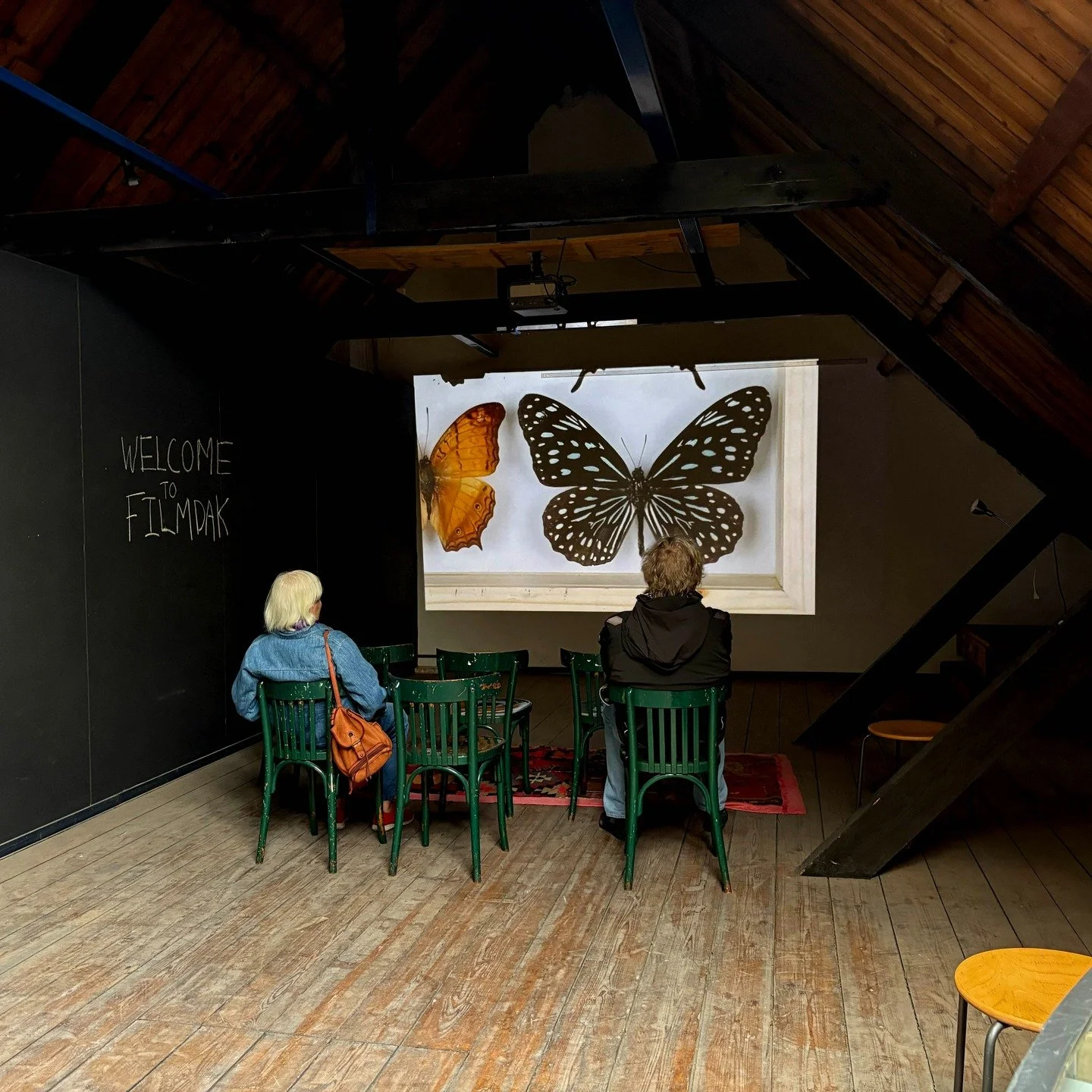 Thank you all for coming last weekend to @grootrotterdamsatelierweekend at Oranjeboomstraat where myself and the FilmDak collective presented our second collective film, this time created in a kind of exquisite corpse manner - each artist, in turns, 