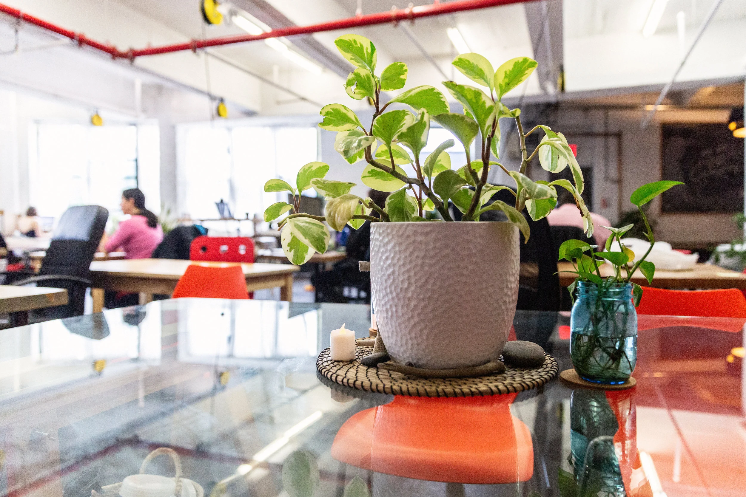 TheCompoundCowork_monicafelix-4.jpg