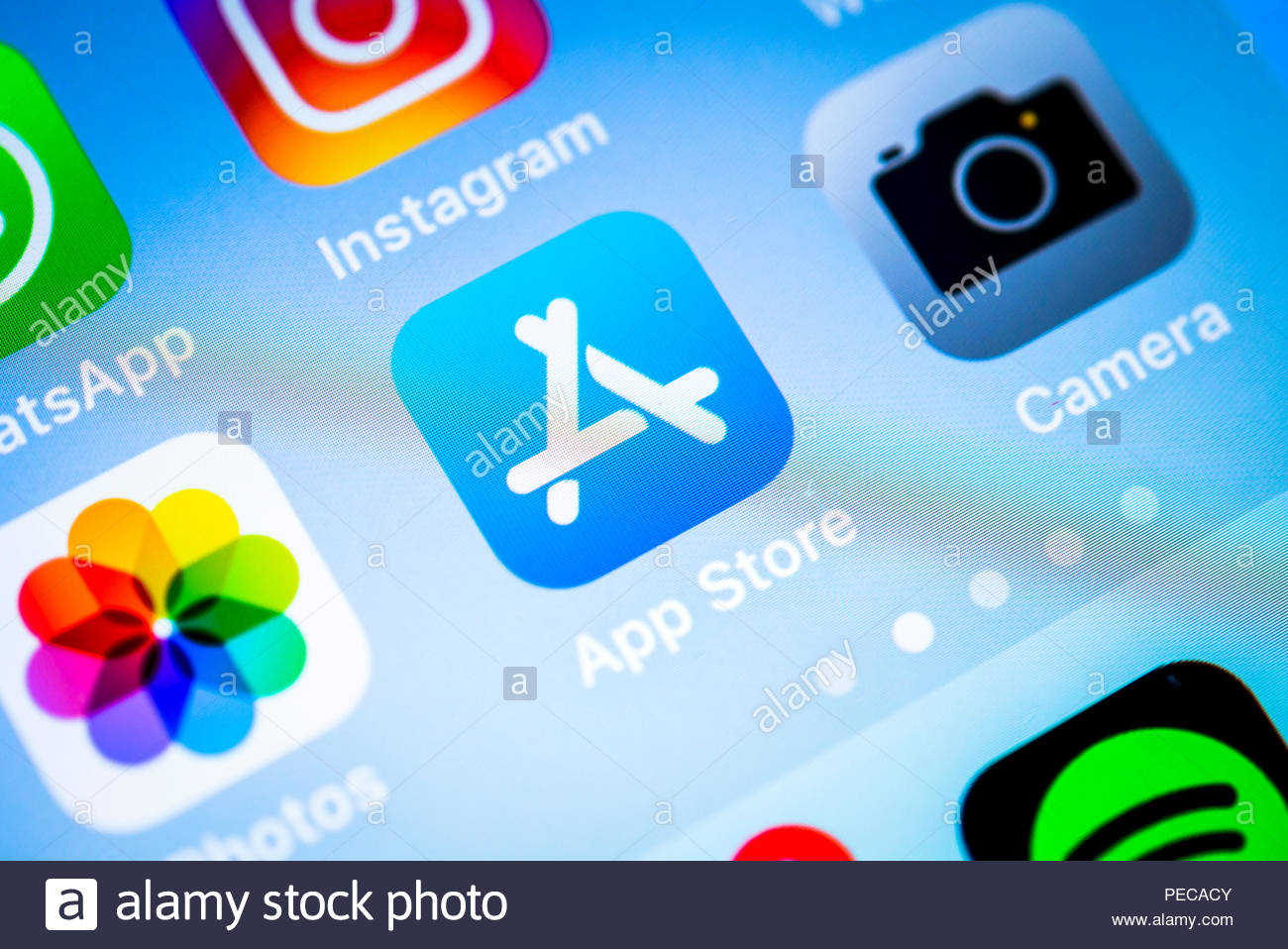 app.jpg