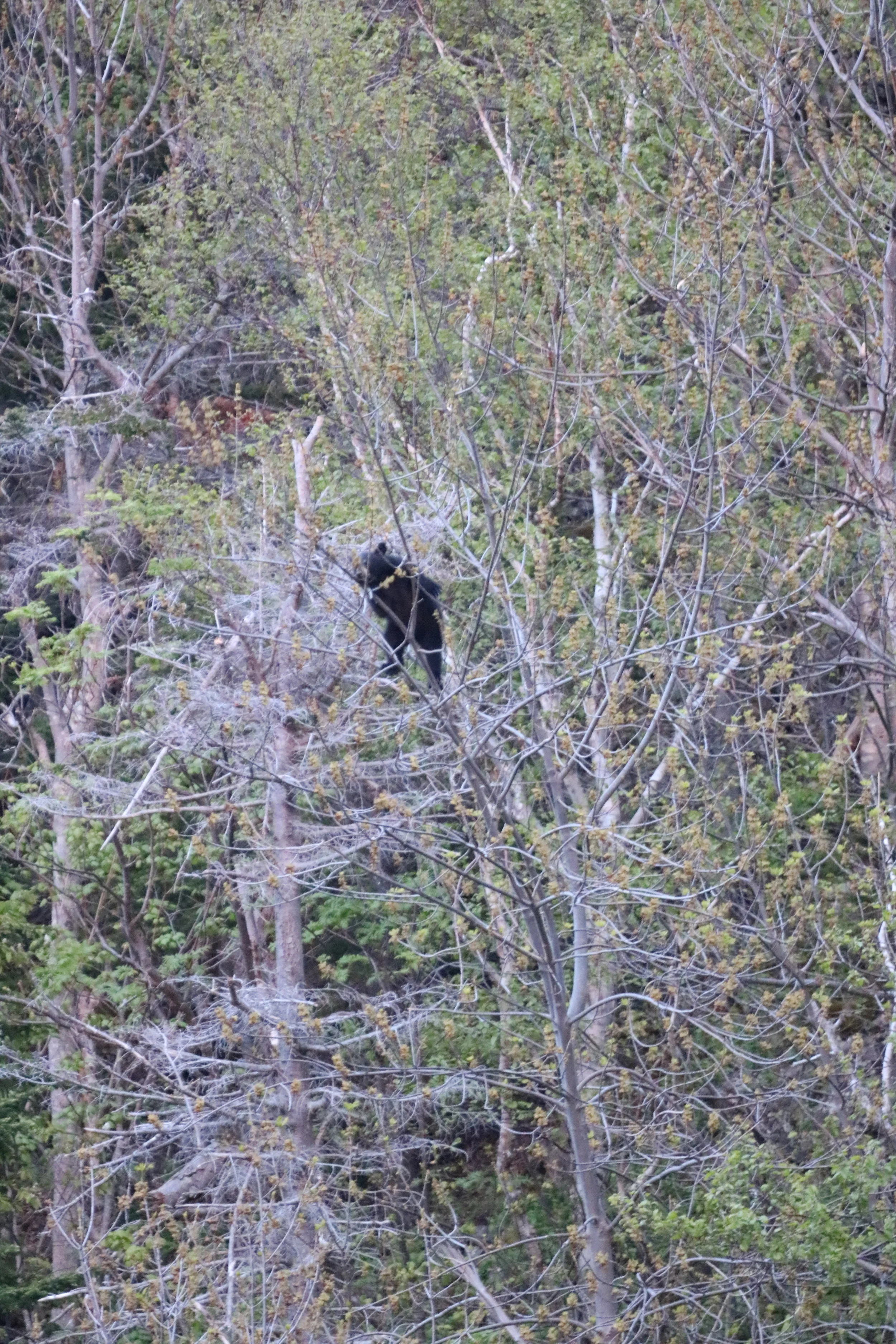 IMG_0312.JPG