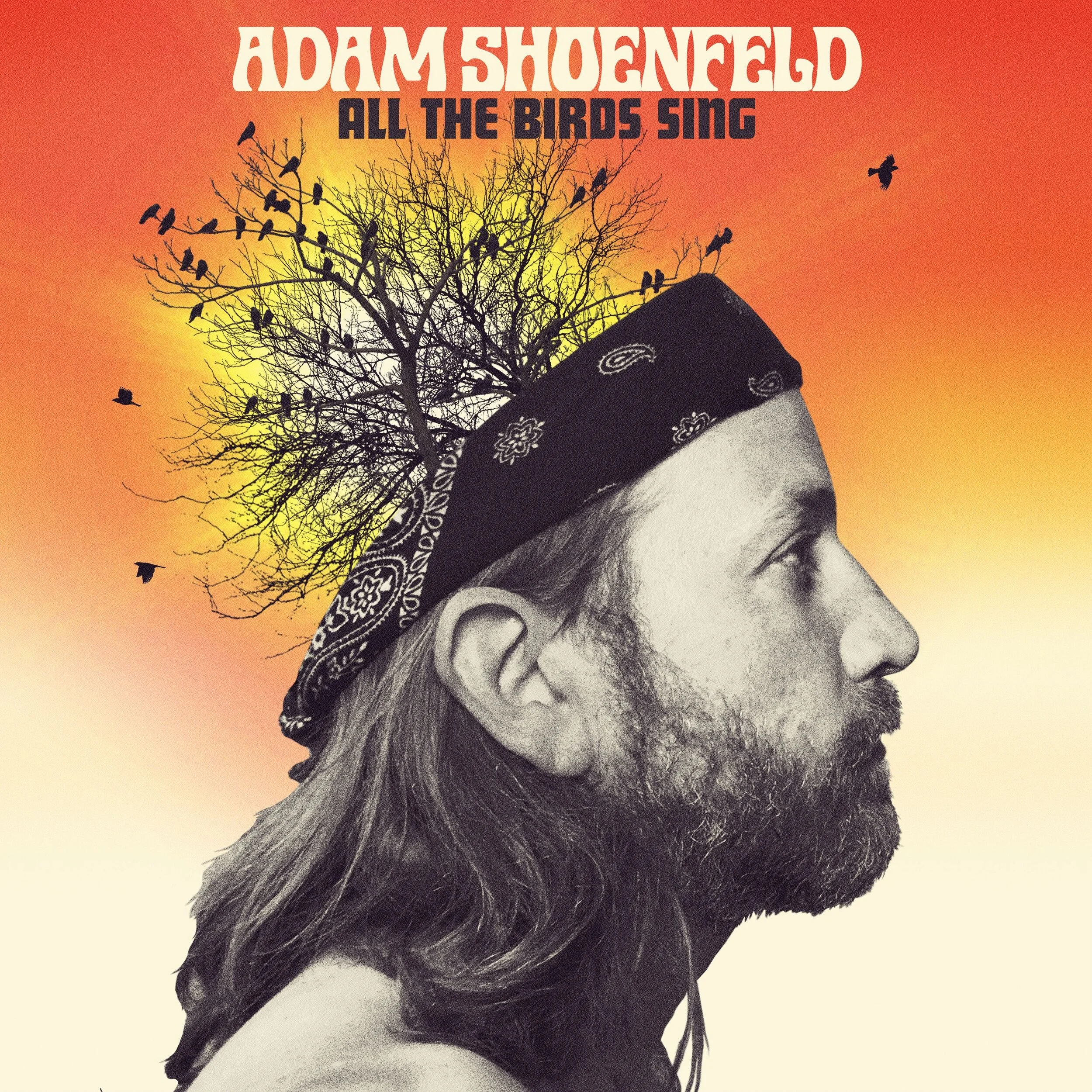 Adam Shoenfeld 
