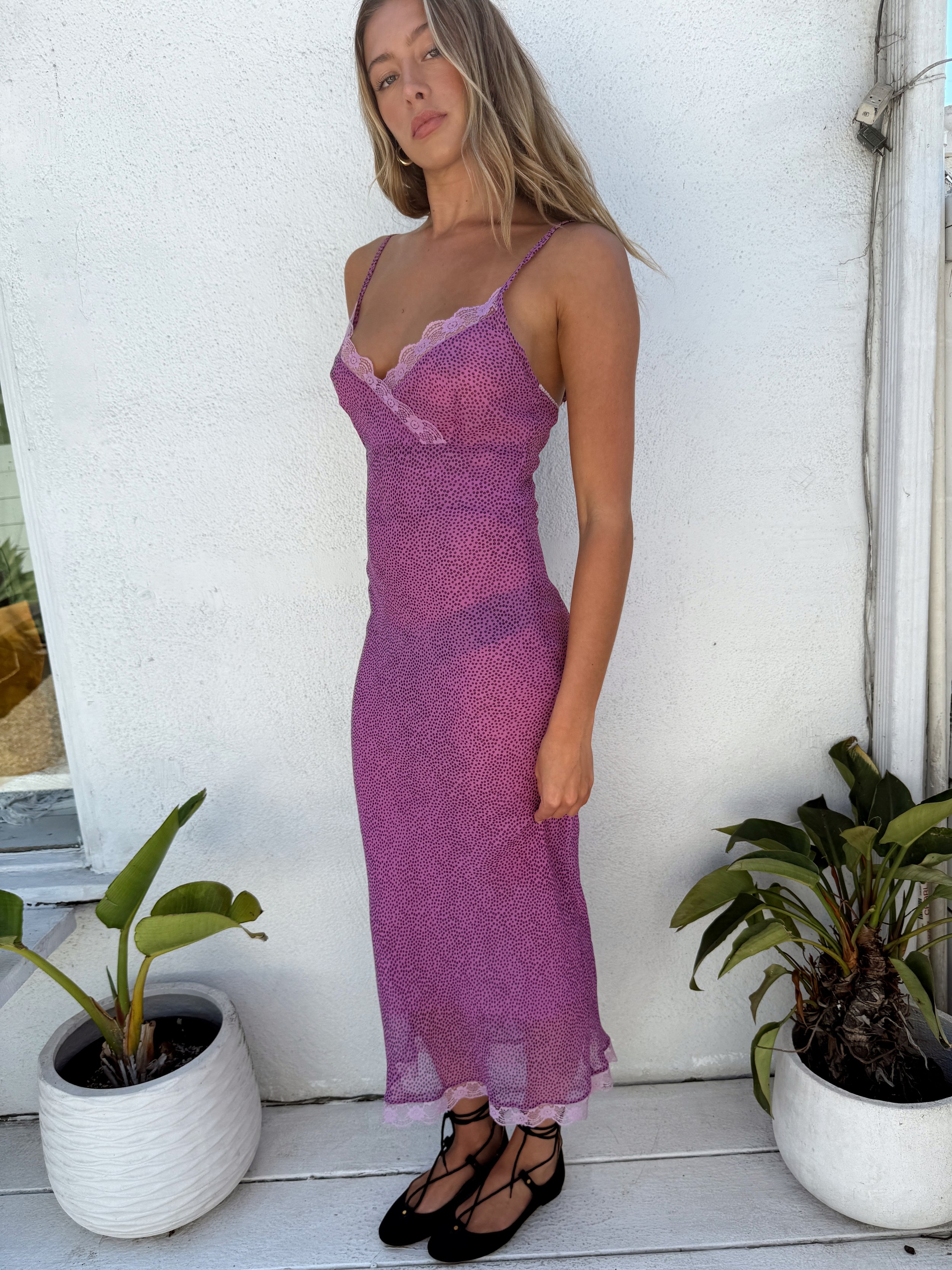 Tezza-8551.JPG