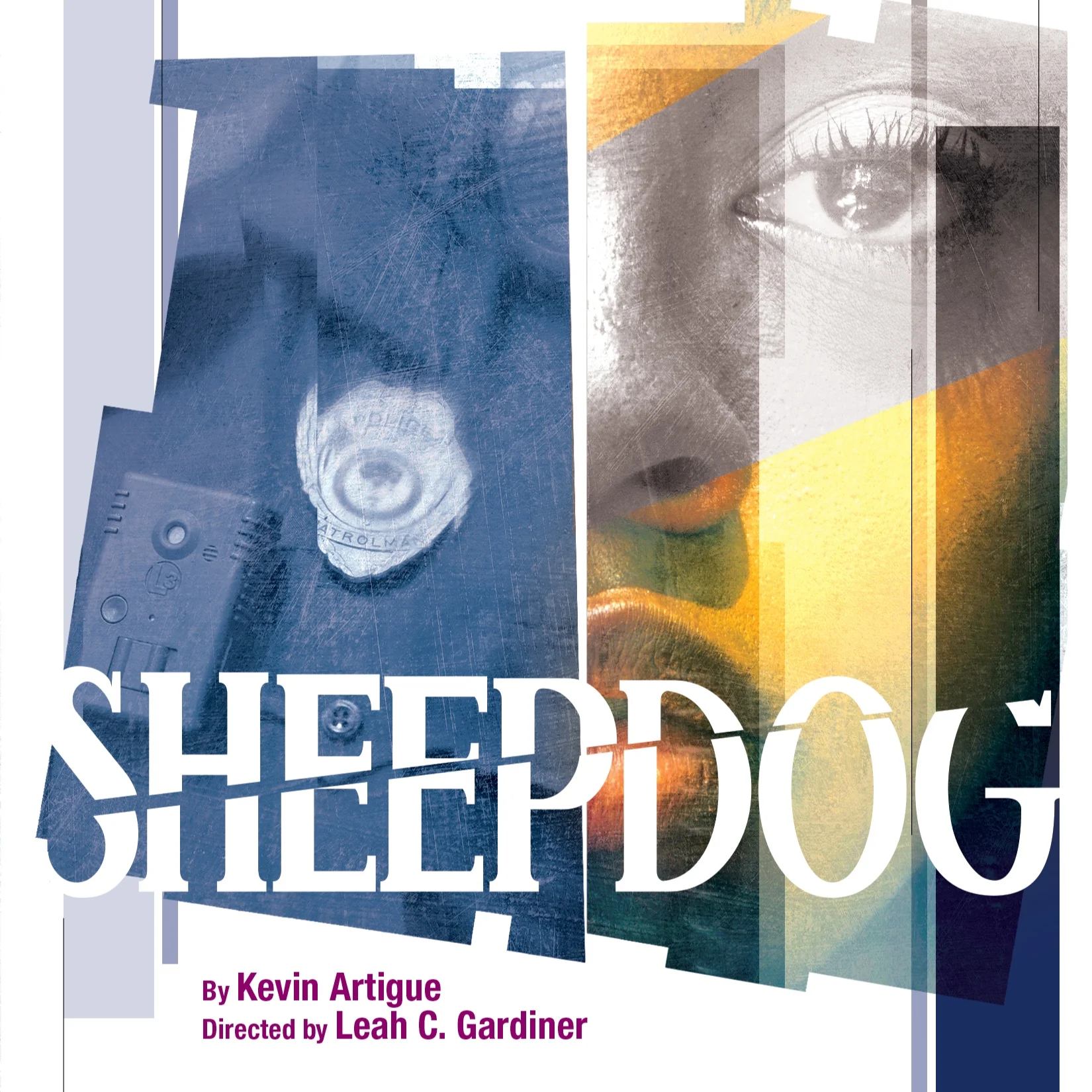 1819-show_art-sheepdog.jpg