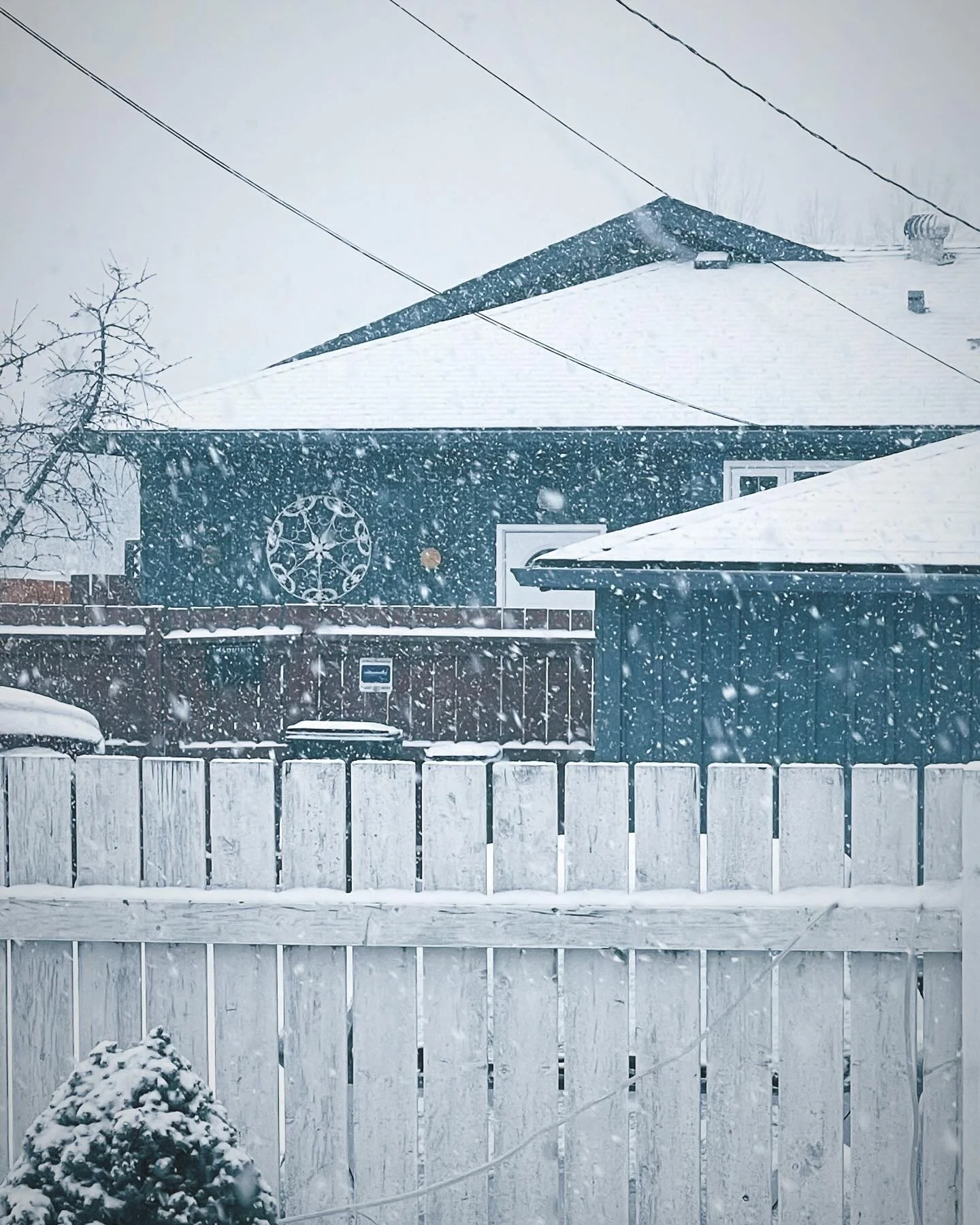Edmonton Alberta.JPG