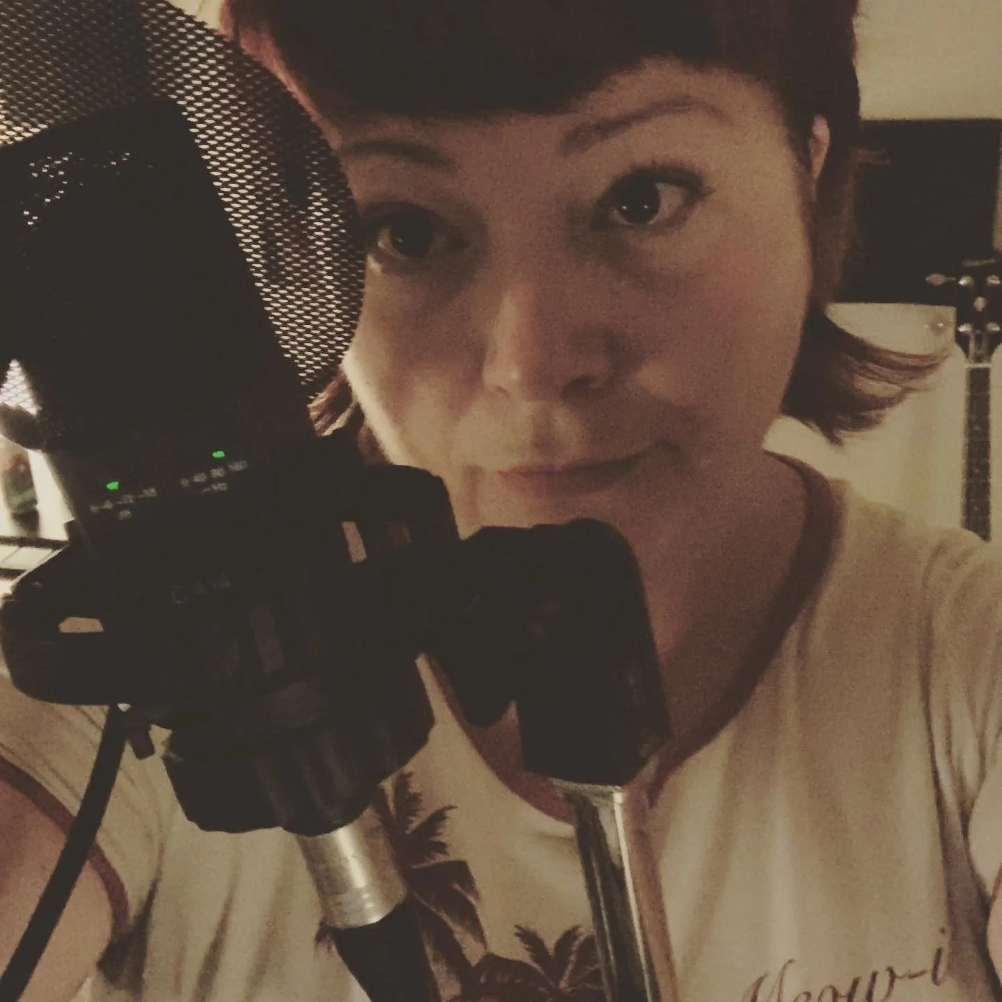 Tanyss Vocal Booth 2.JPG