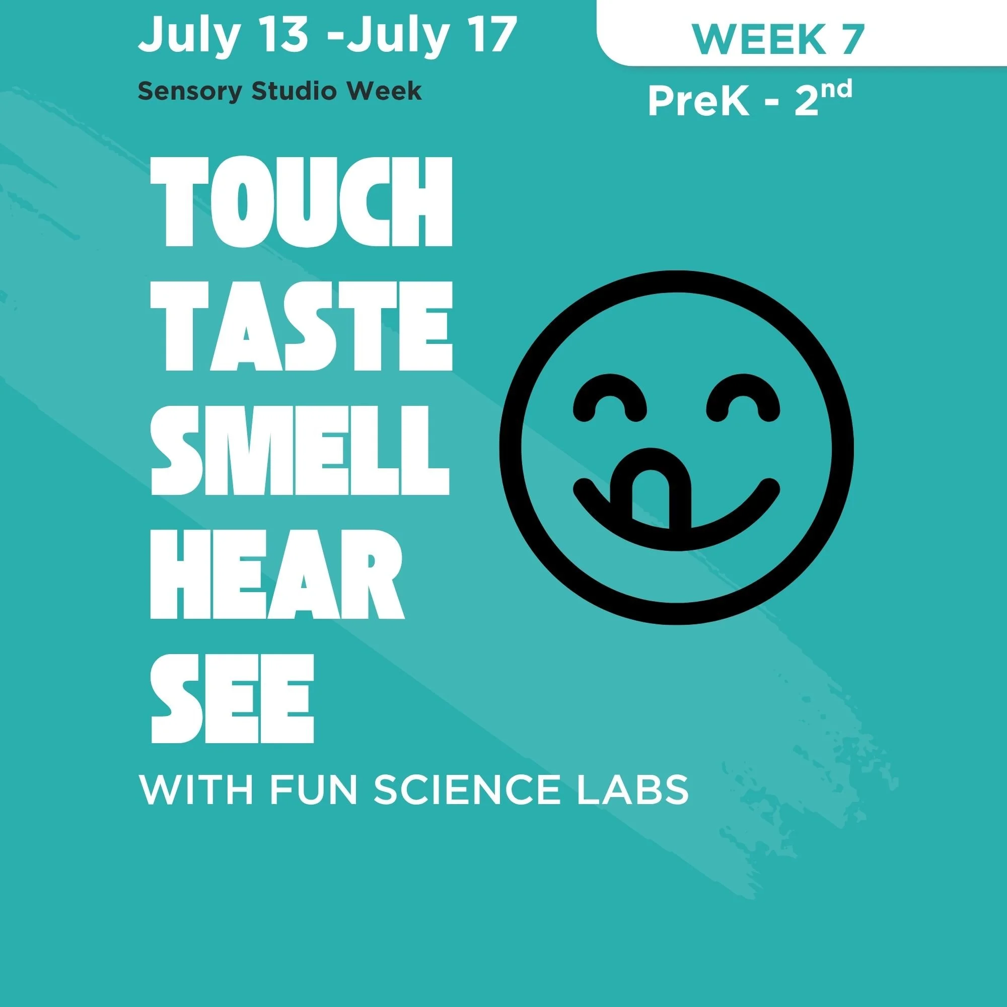 Sensory Studio: Science of the 5 Senses