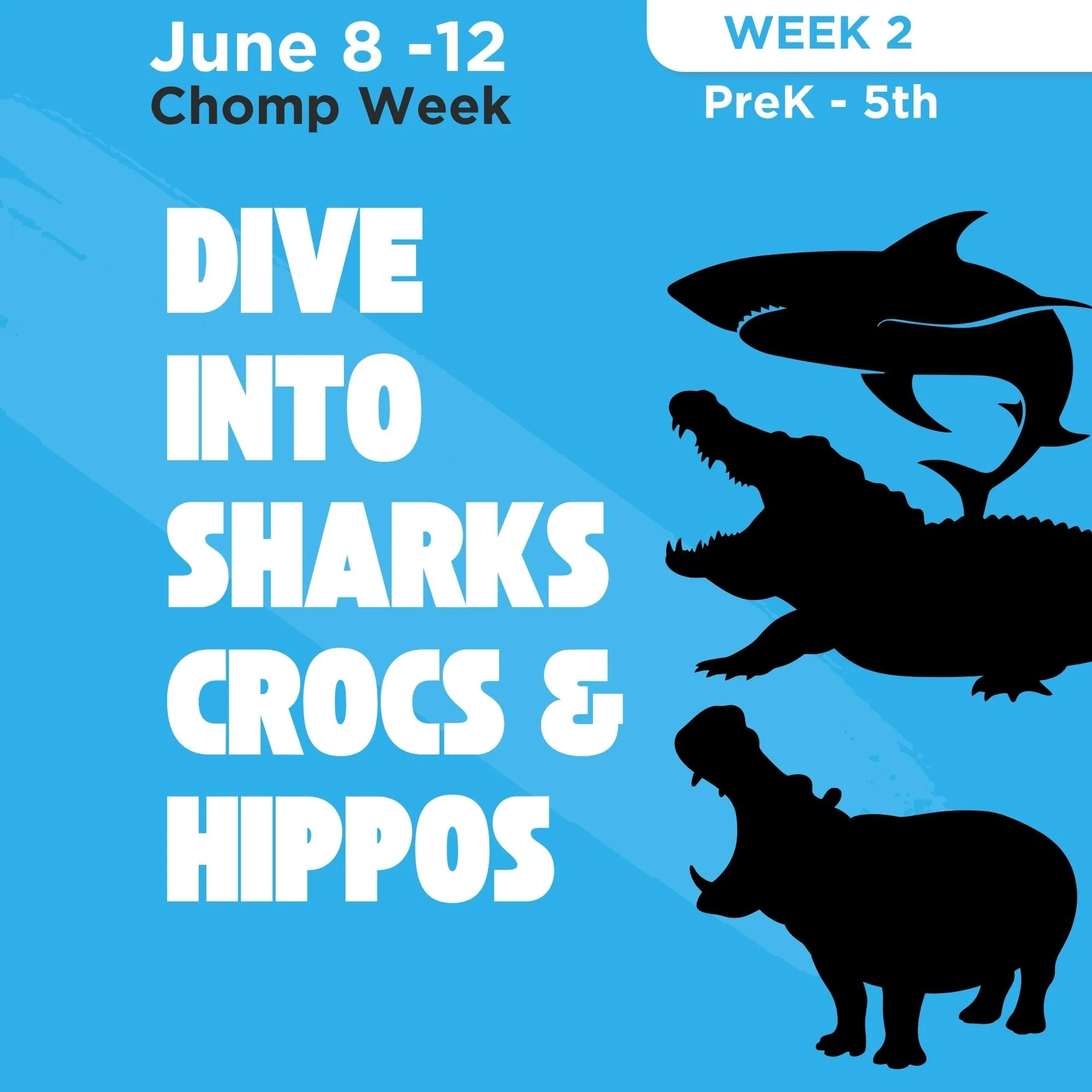 Chomp Week: Sharks, Crocs, & Hippos