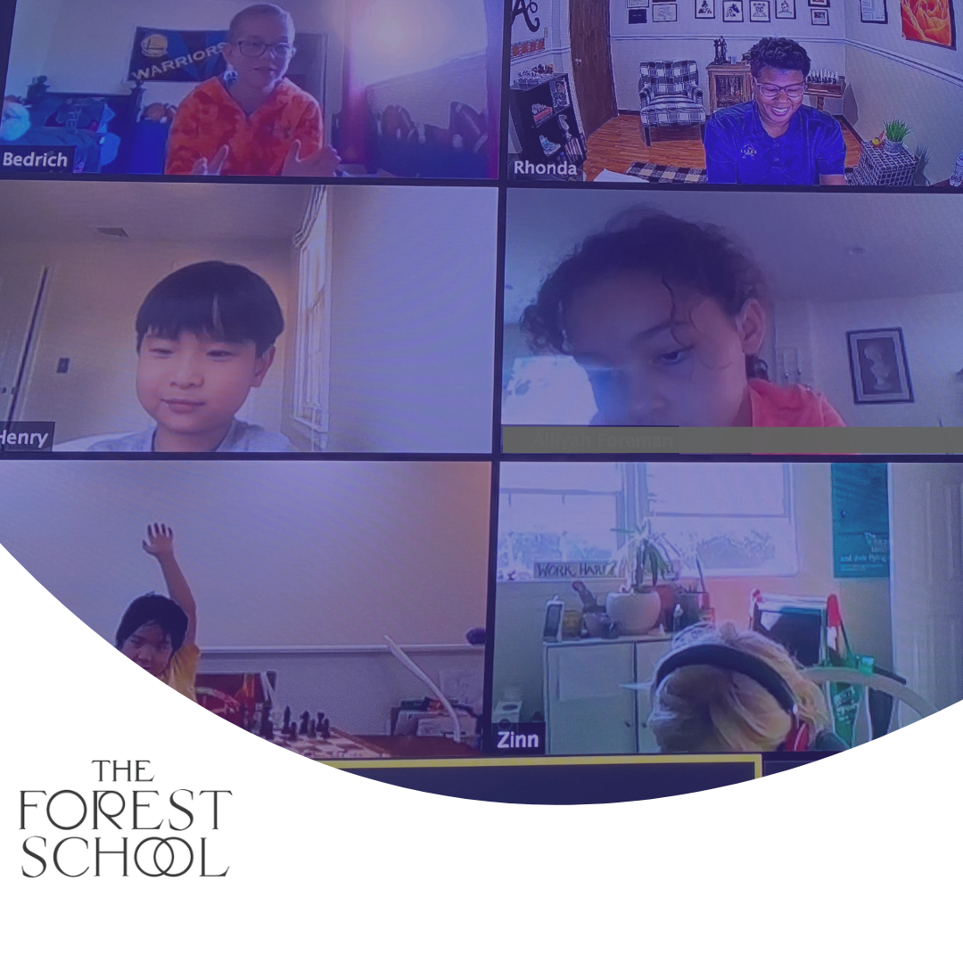 The Forest School Online - CHess.png