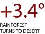 341.jpg