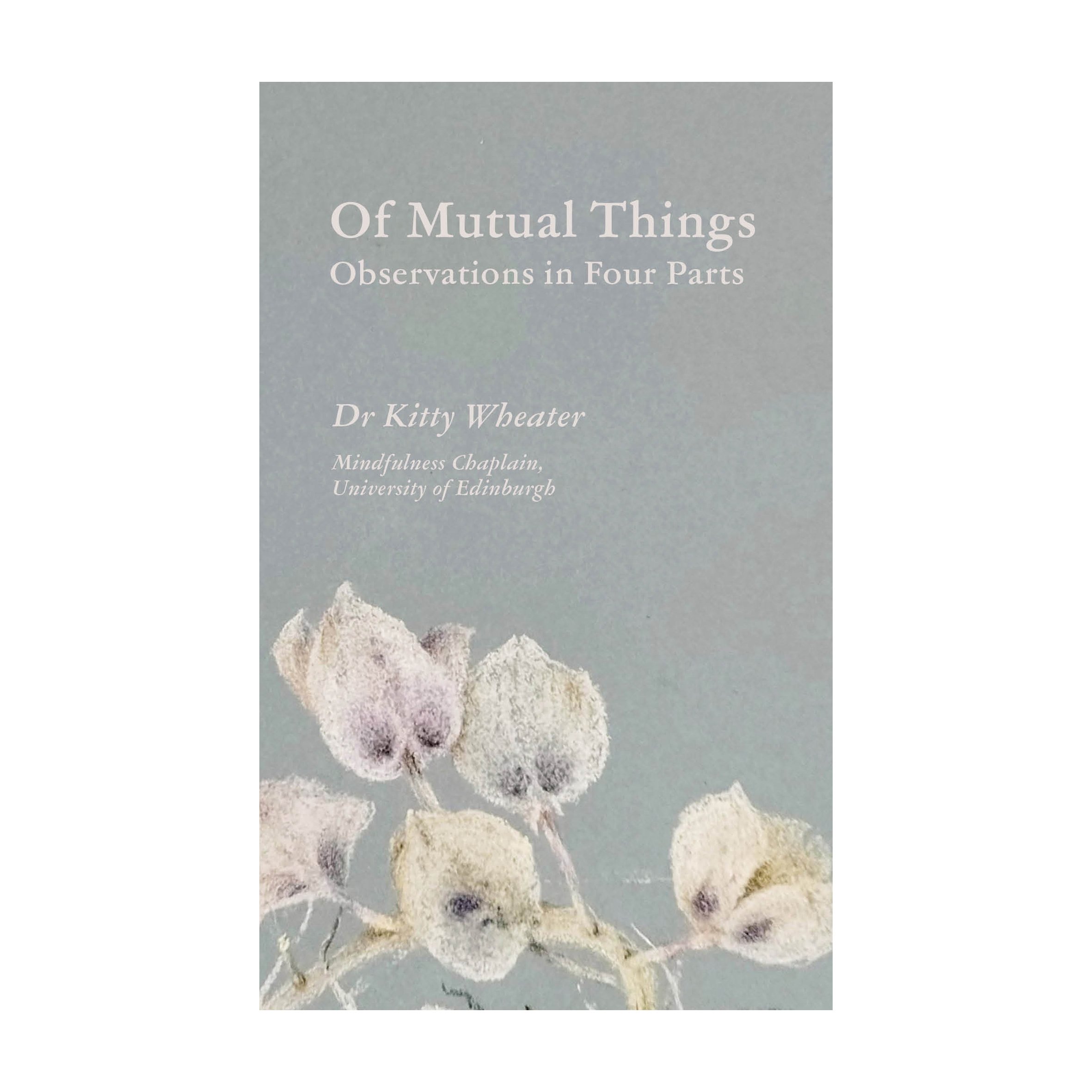 Kitty front cover w border.jpg