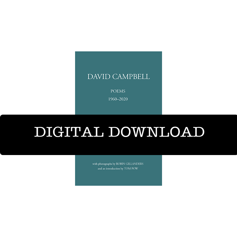 dd david campbell.png