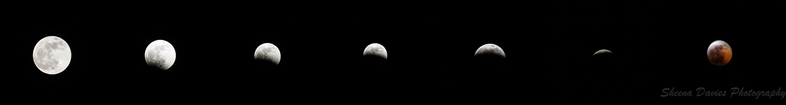 Moon (1 of 1).jpg