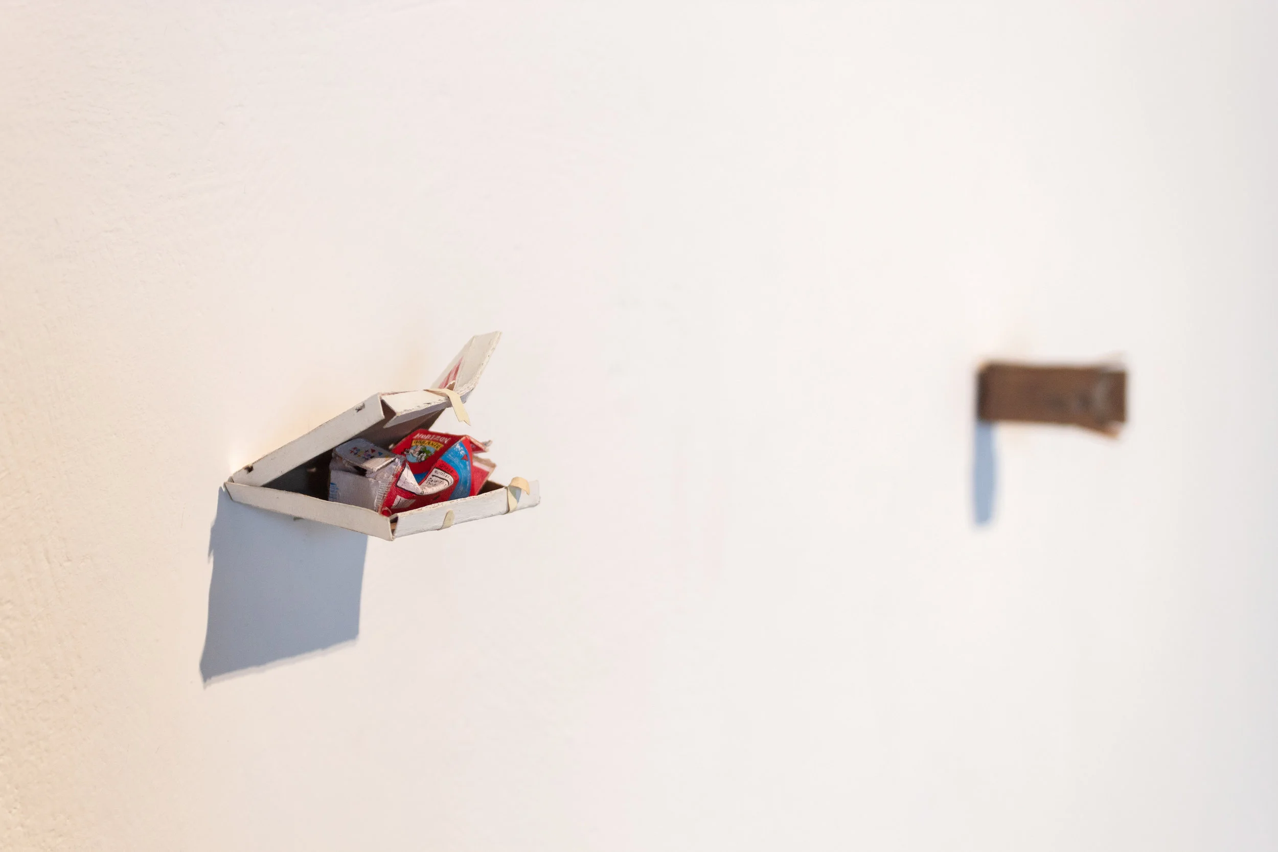 Installation view, Rachel Grobstein, Pizza Box and Milk (2017).