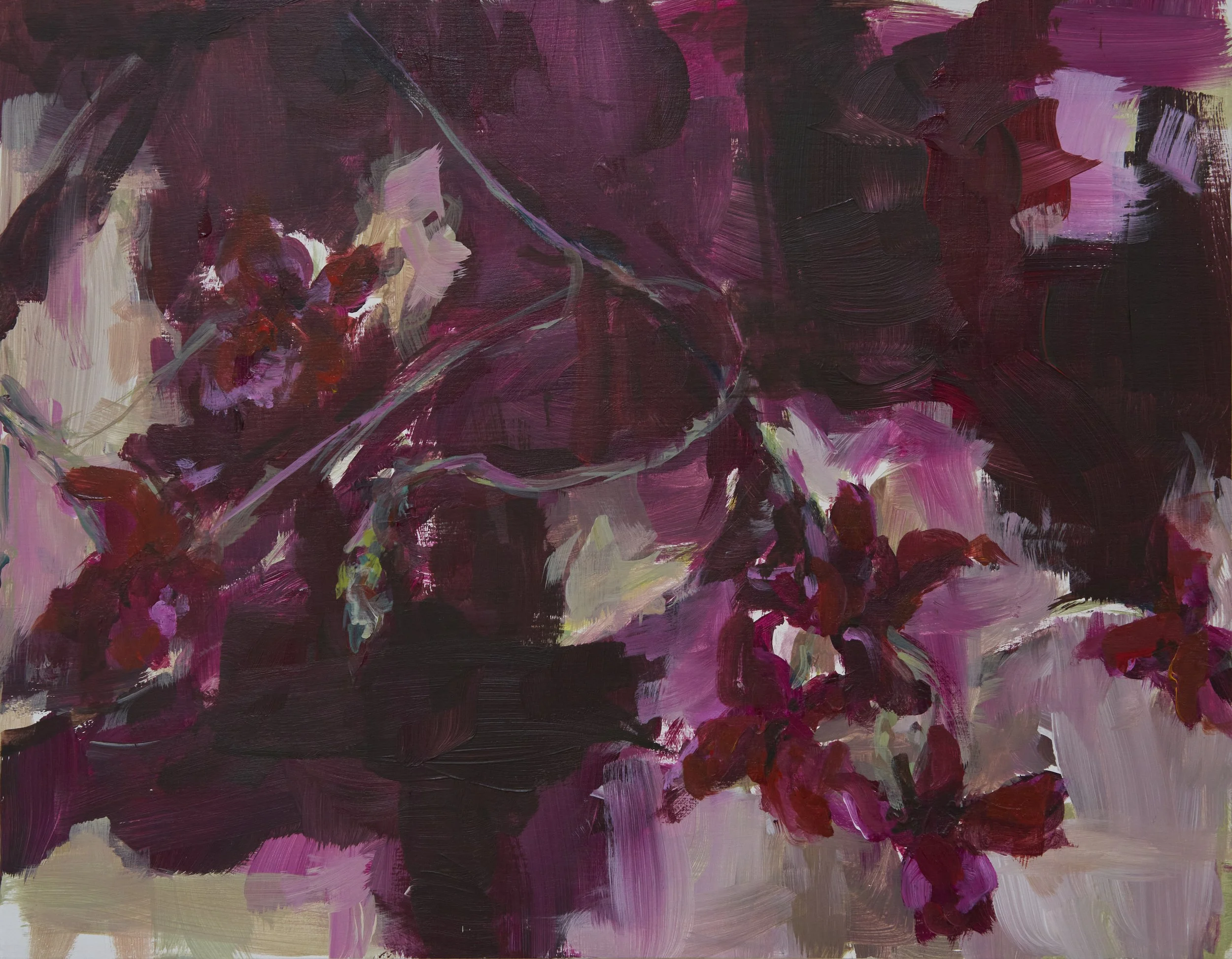 Trailing Geraniums.jpg