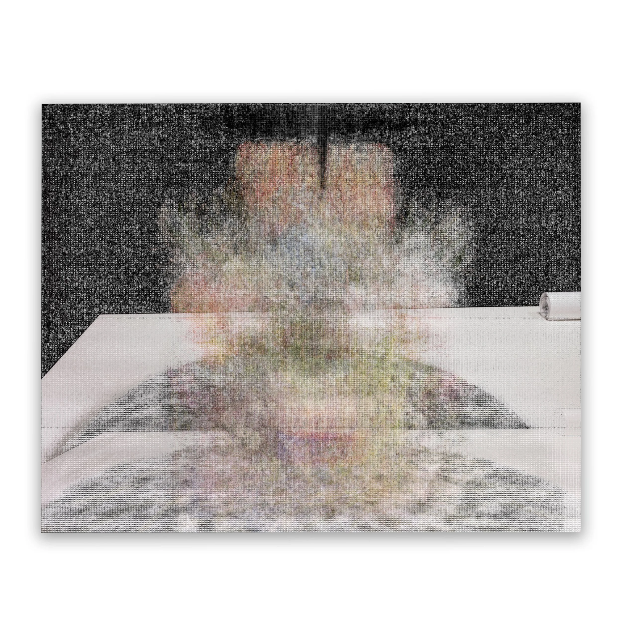 Hand-me-down Cameras with Flowers, 2022