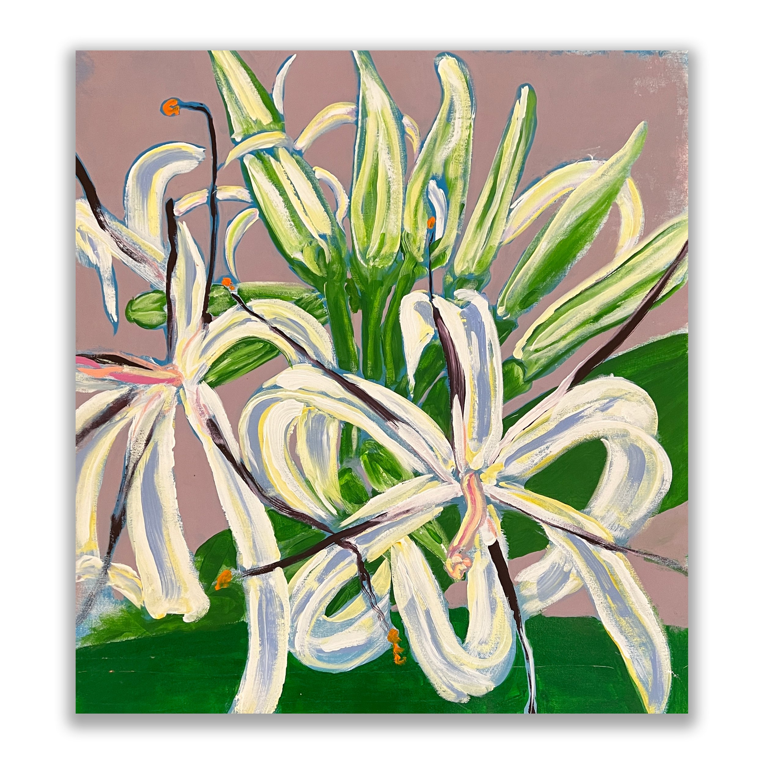 Spider Lily, 36x32"