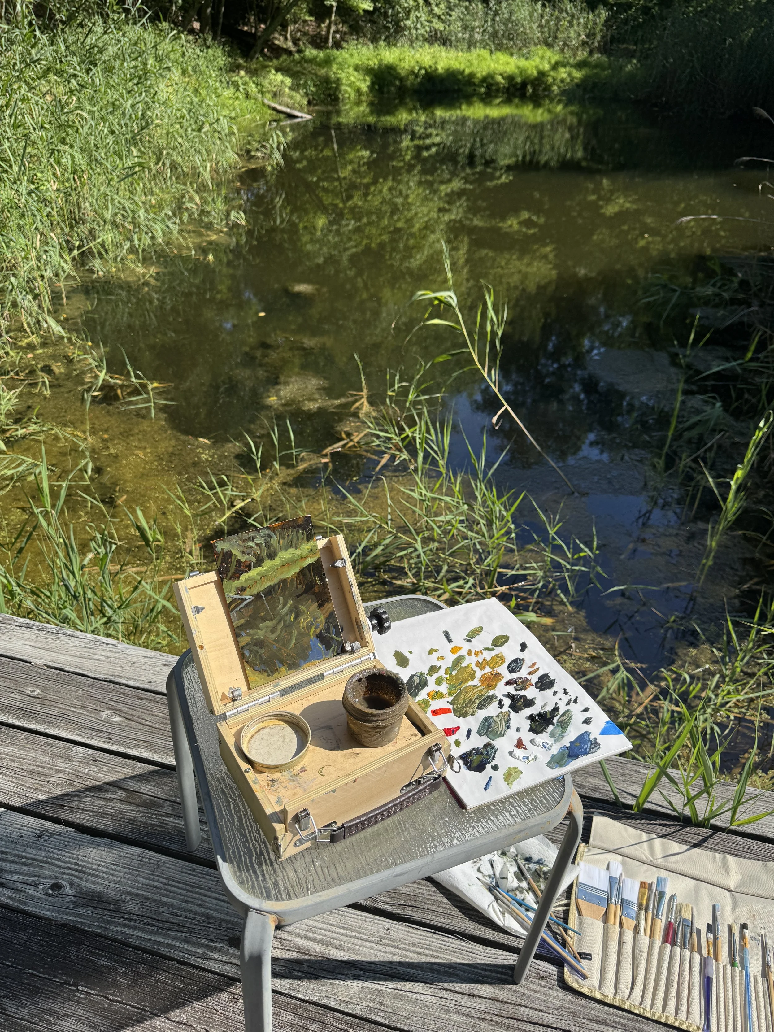 Upstate NY_Frog Pond 2.JPG