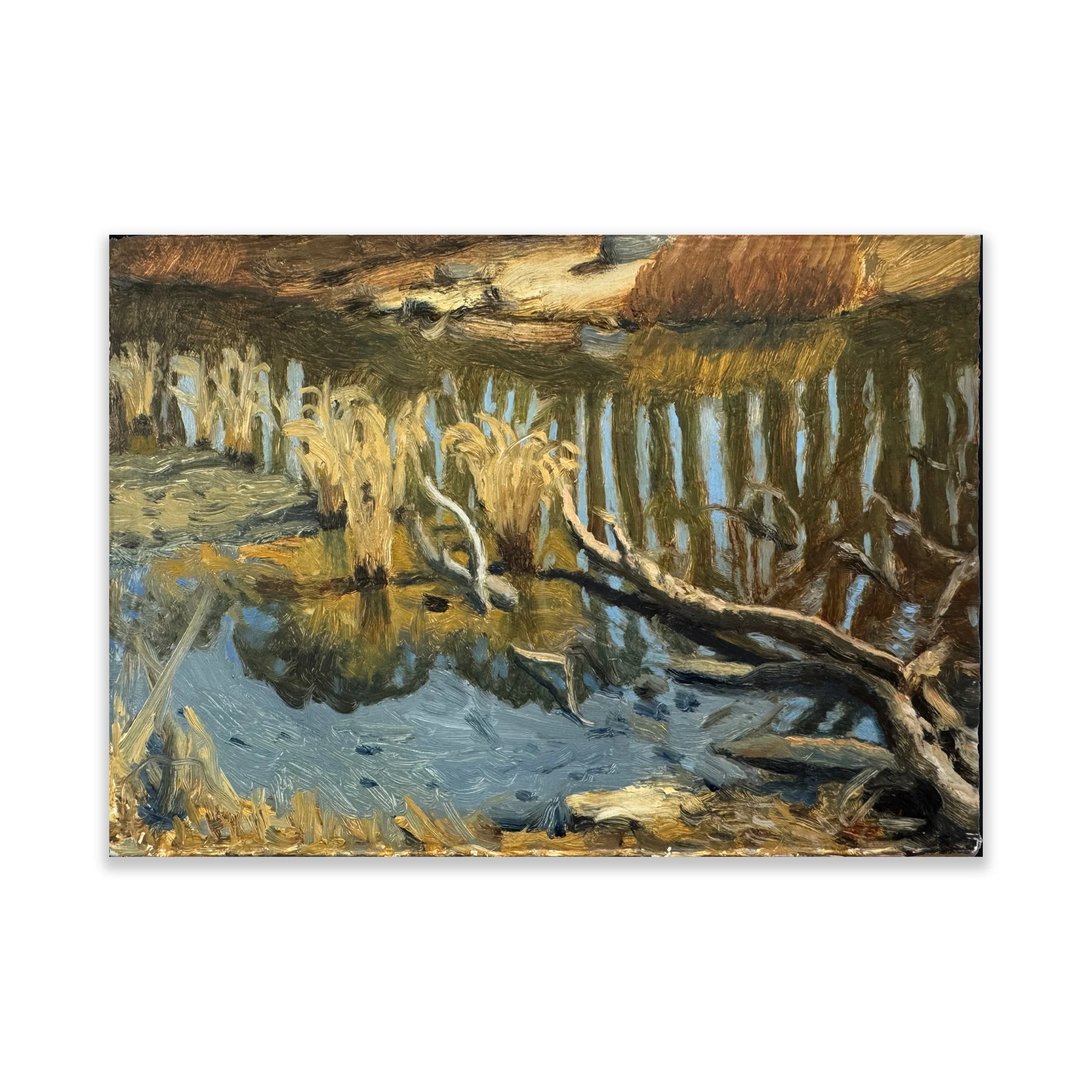 'Spring Blushes,' 5 x 7"