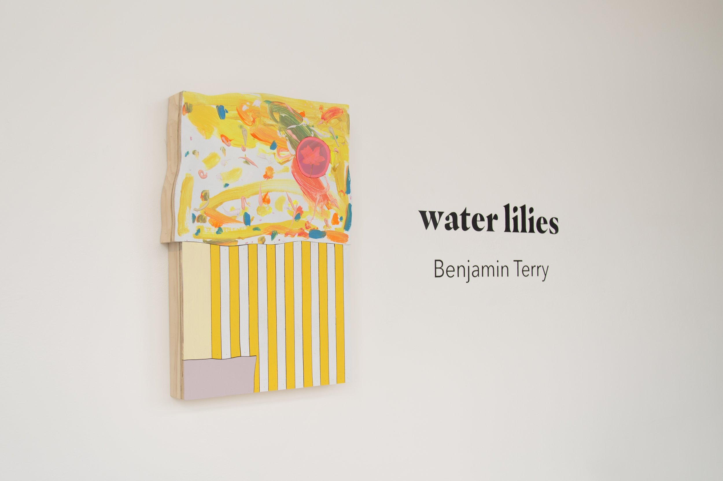 Benjamin_Terry_water-lilies_install_view_05.jpg