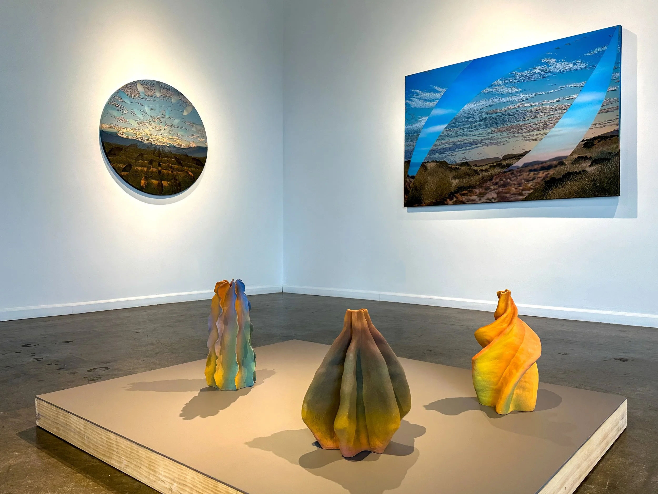 Scattered_Light-Saskia_Fleishman_install6.jpg (Copy)