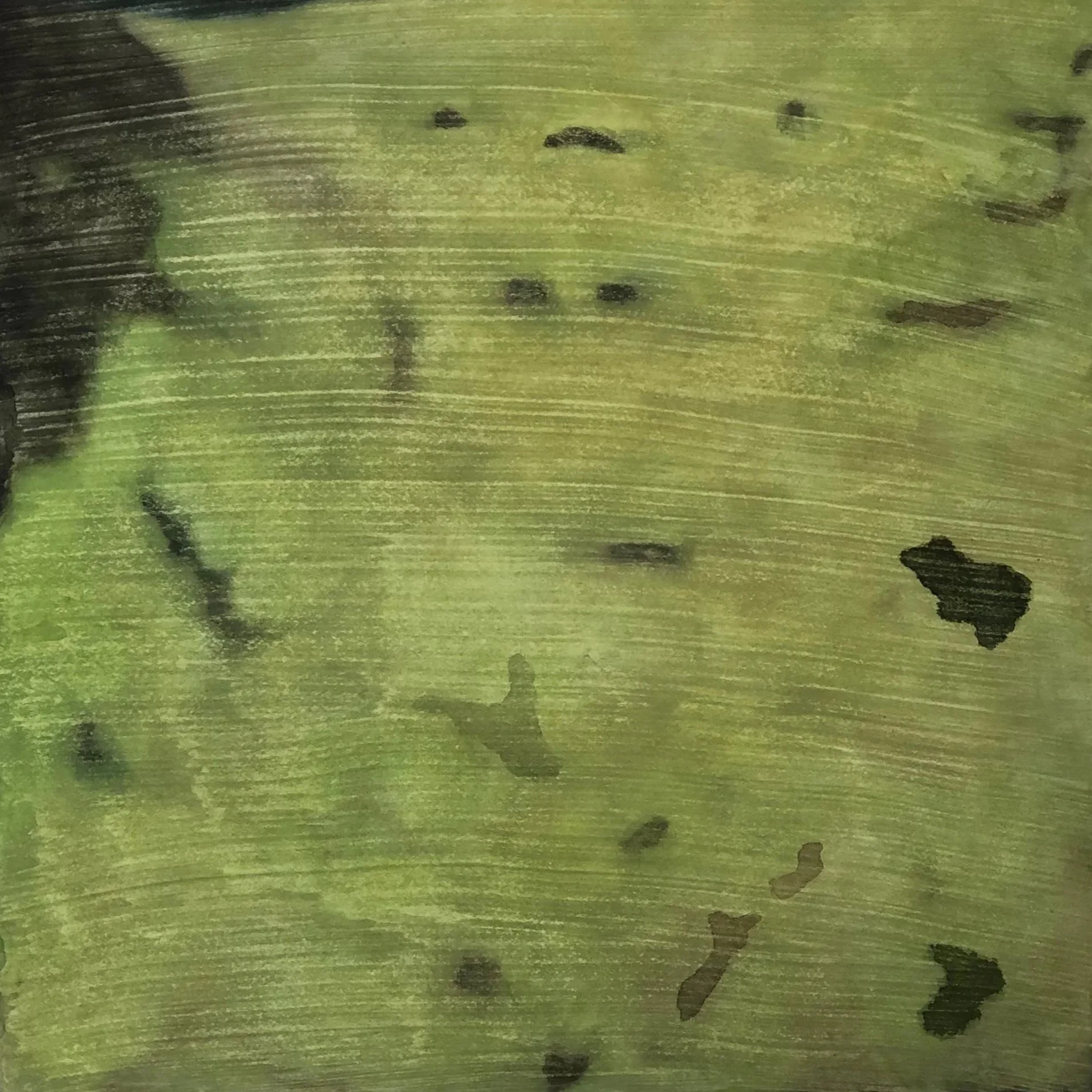 Gathering+Moss_Makenzie+Heinemann_2025.jpg