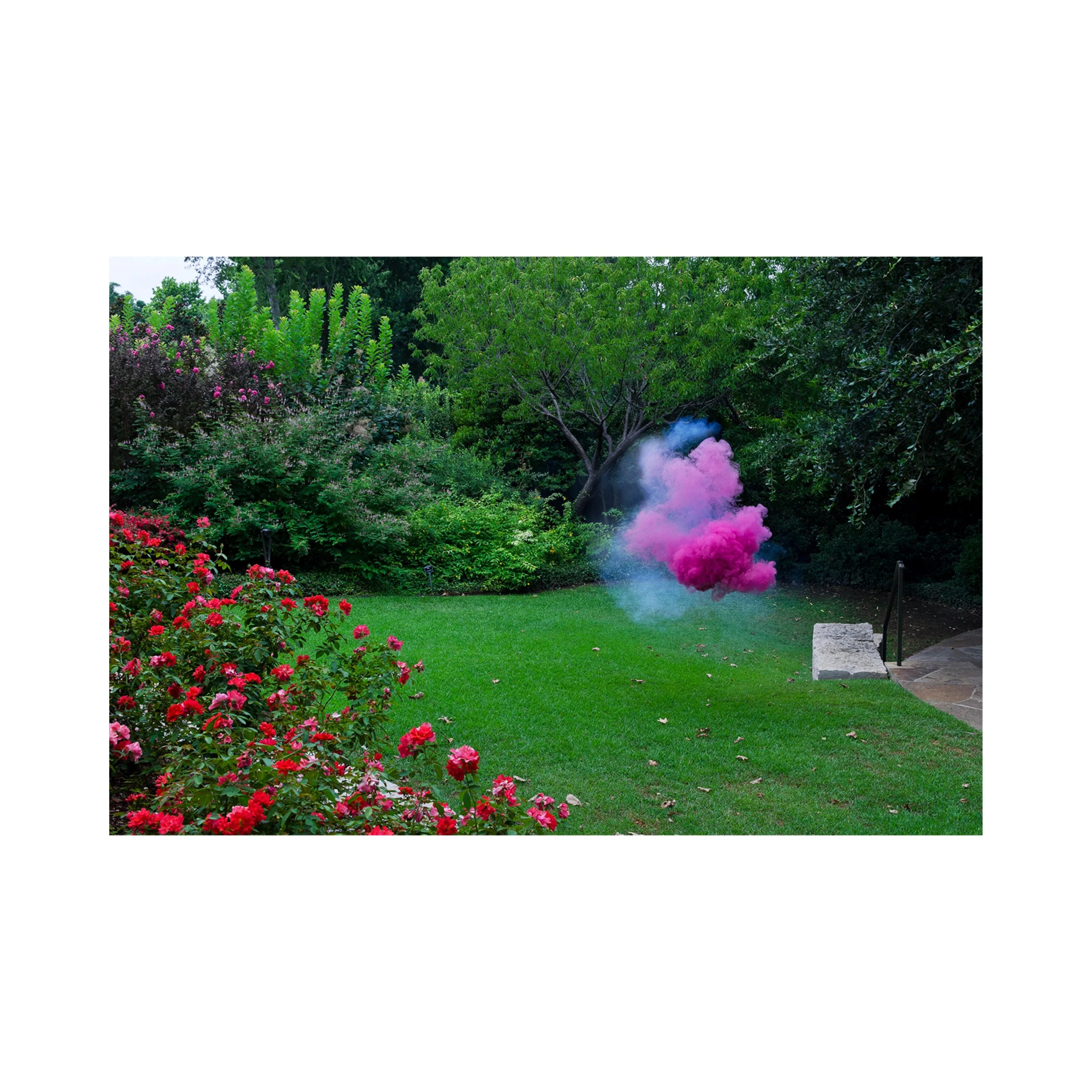 Irby Pace 'Verdue,' 2014