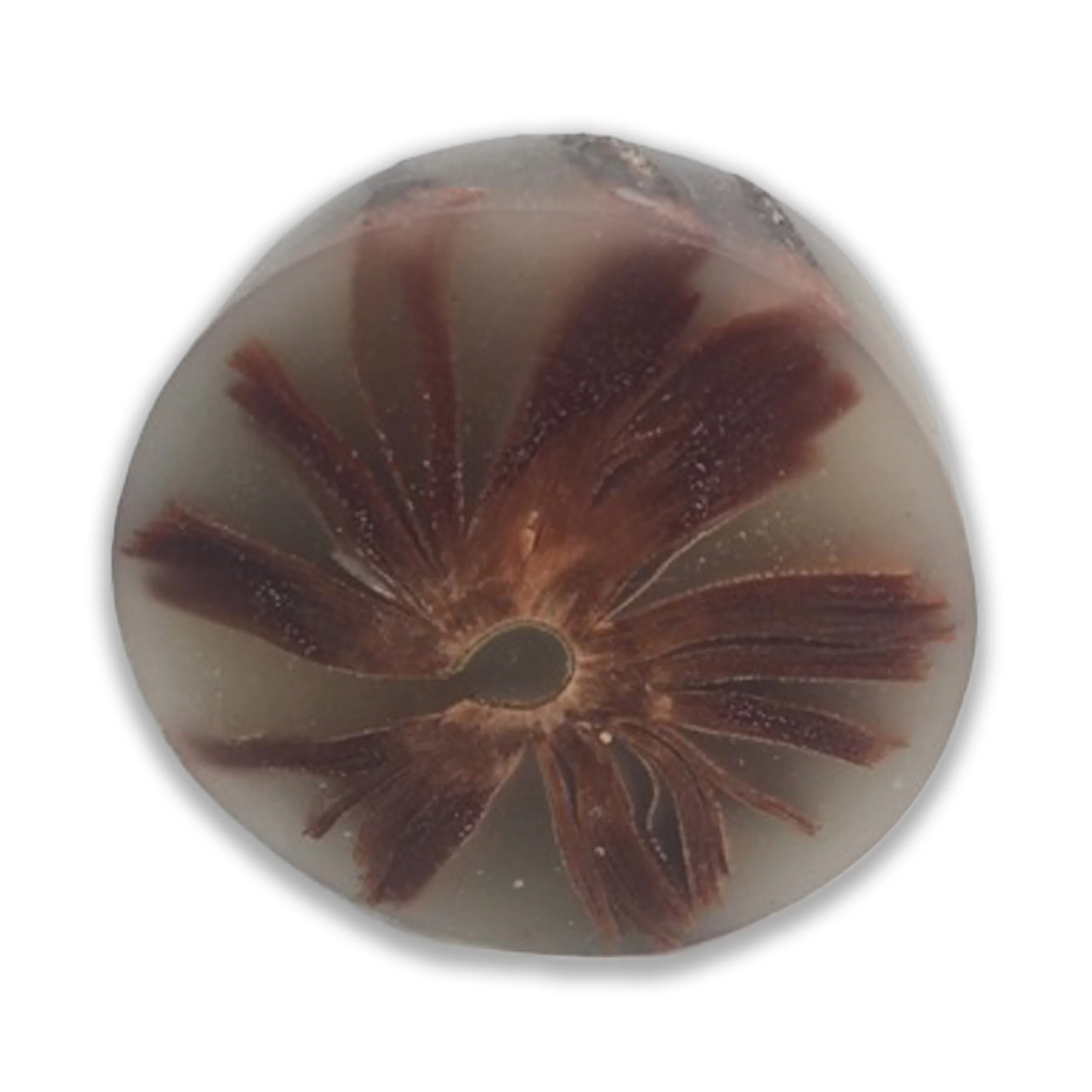 Reading Our Remains Curled Spine in Wax.jpg