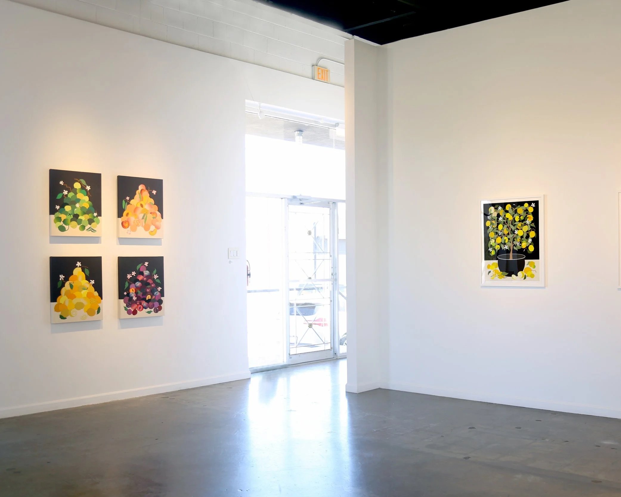 fruit_roll_out_stephen_donofrio_install_2.jpg (Copy)