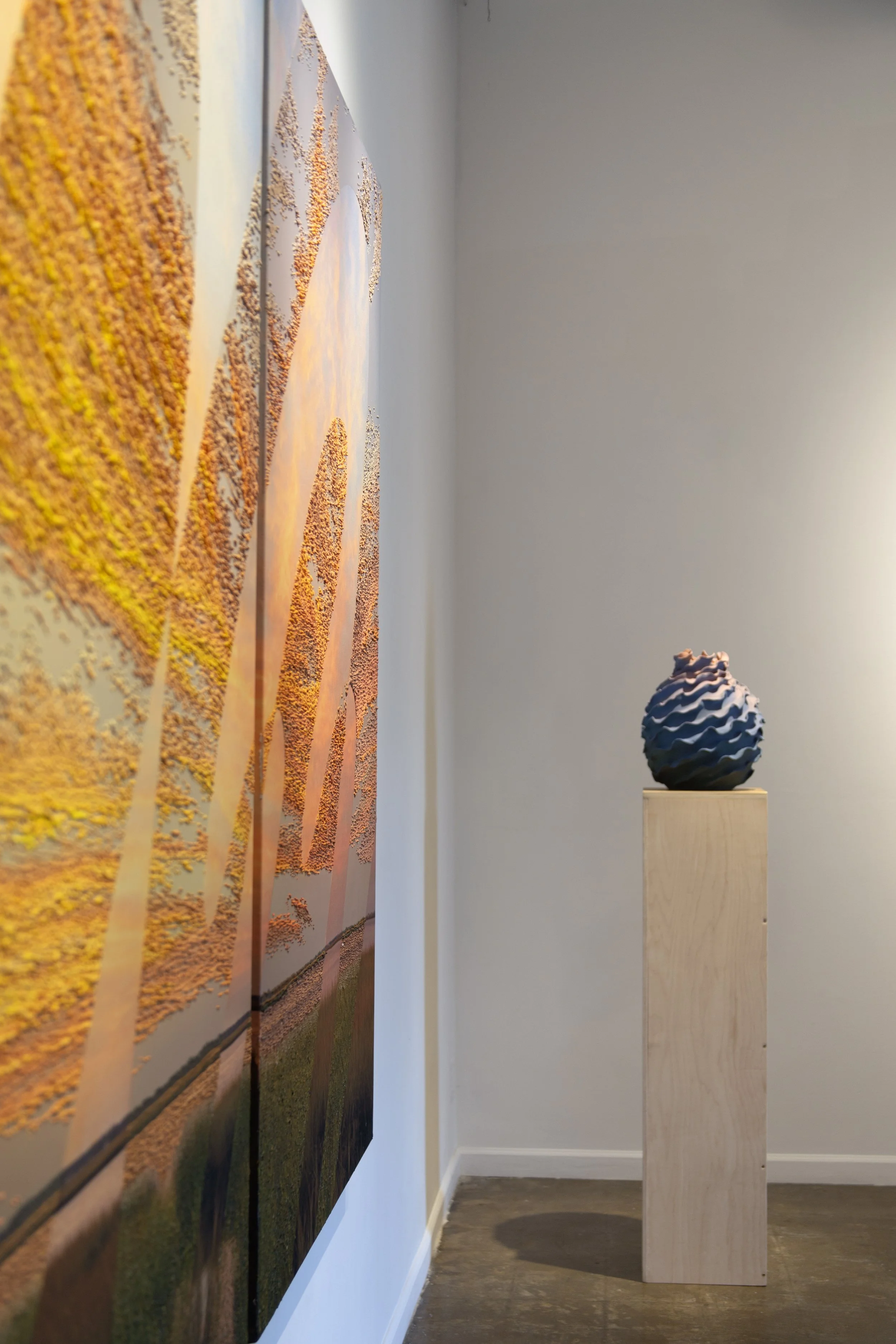 _saskia_fleishman_Contours_install_09.jpg