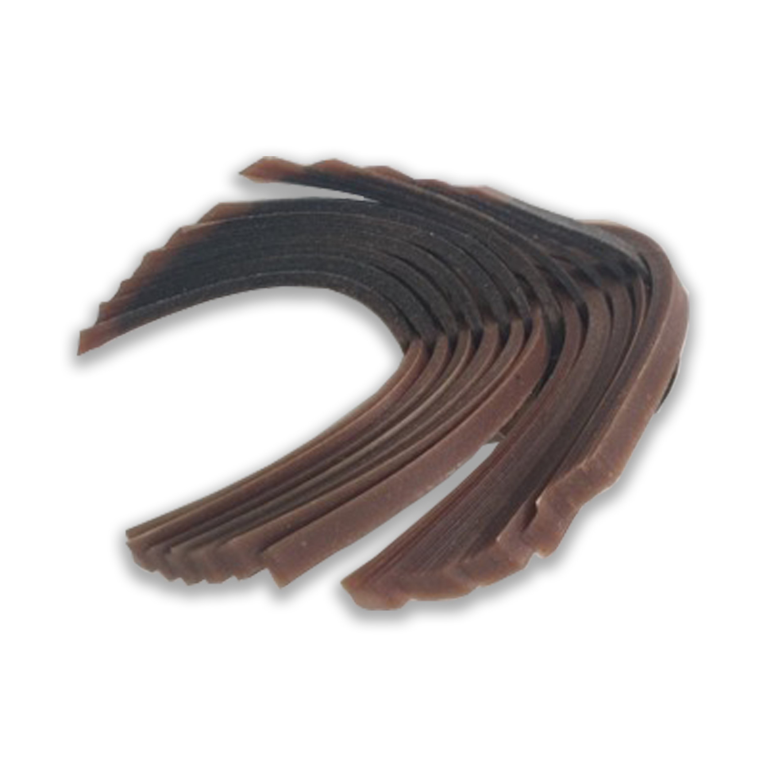 Jessica Drenk 'Reading Our Remains : Fish-boned Pages,' 2017