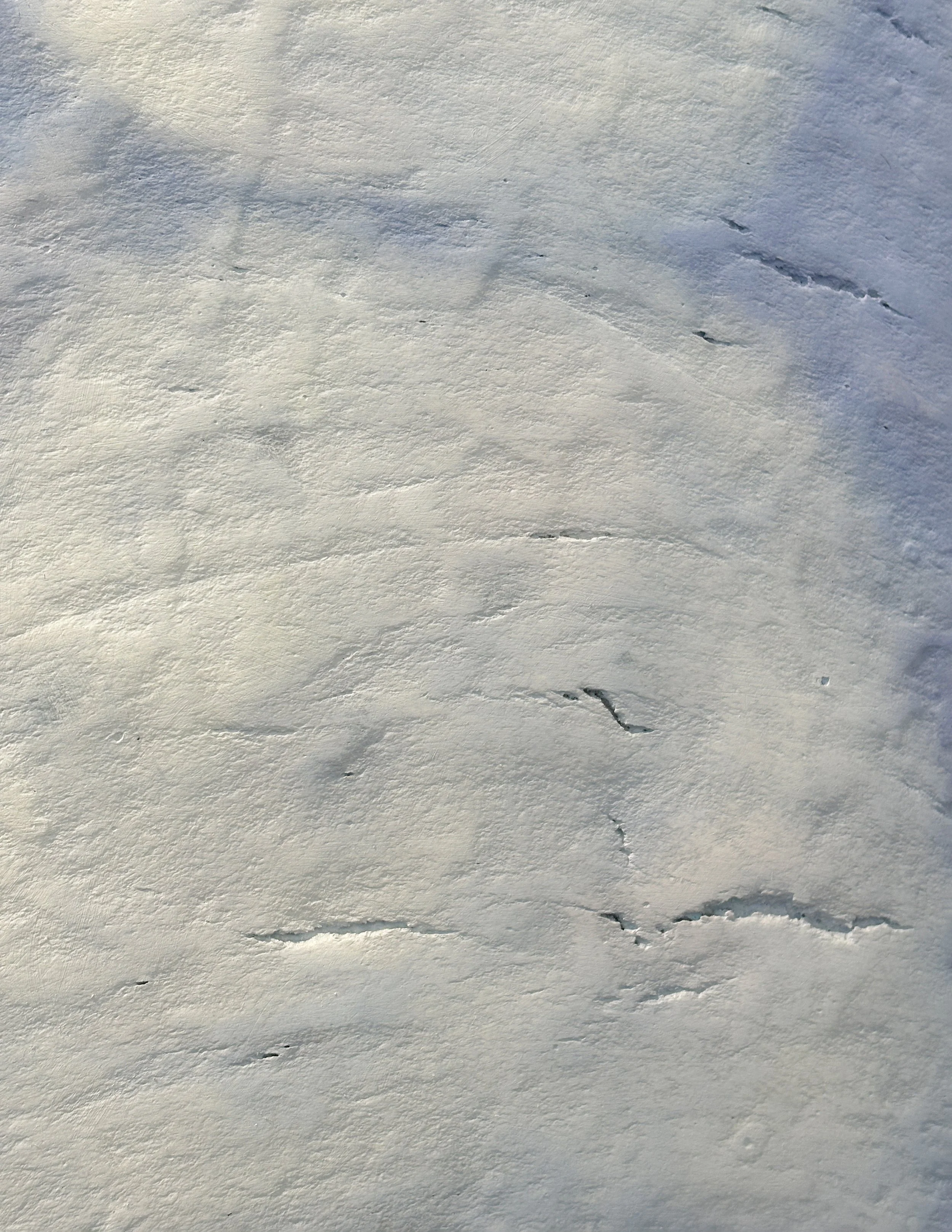 Untitled 5 detail.jpg