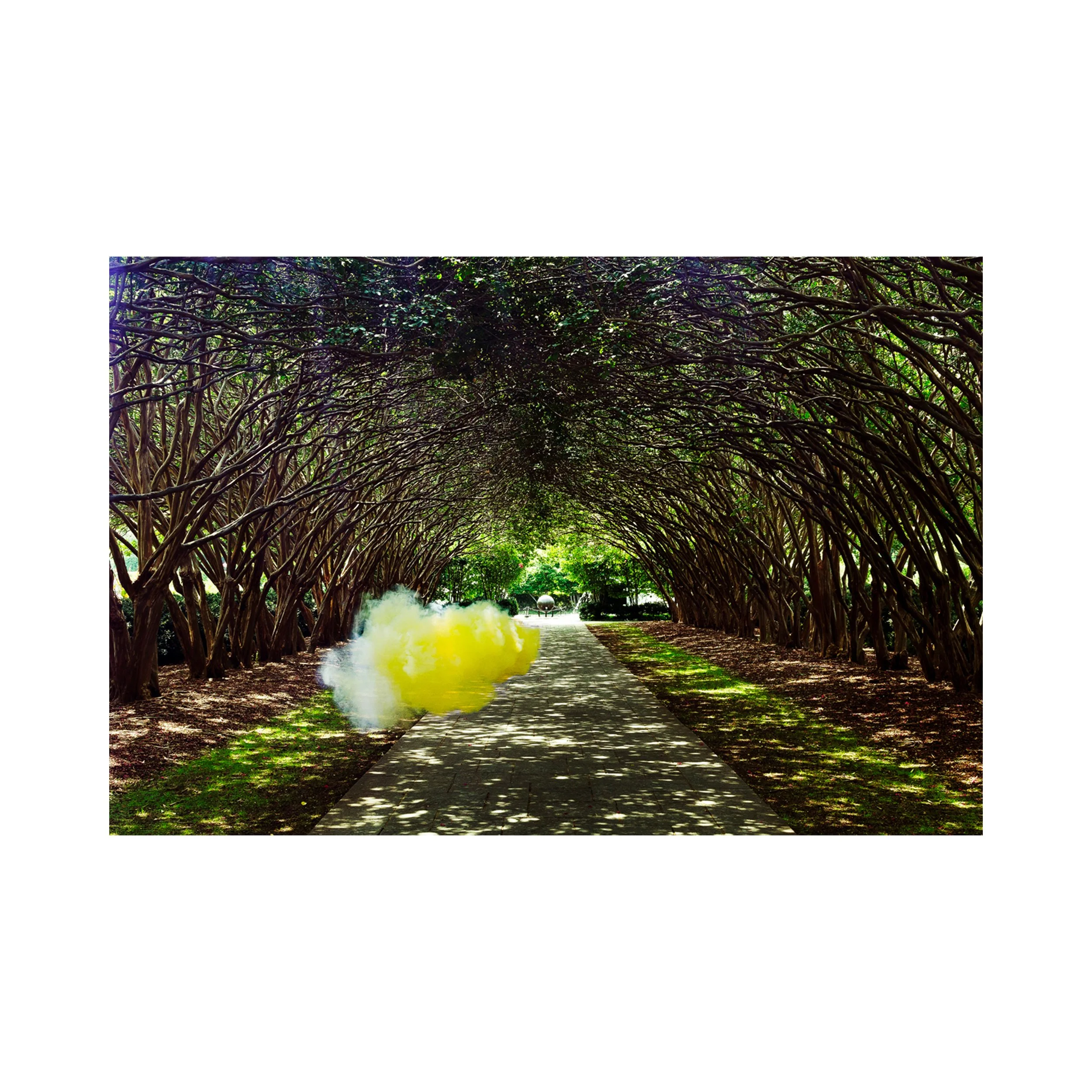 Irby Pace 'Herbage,' 2014